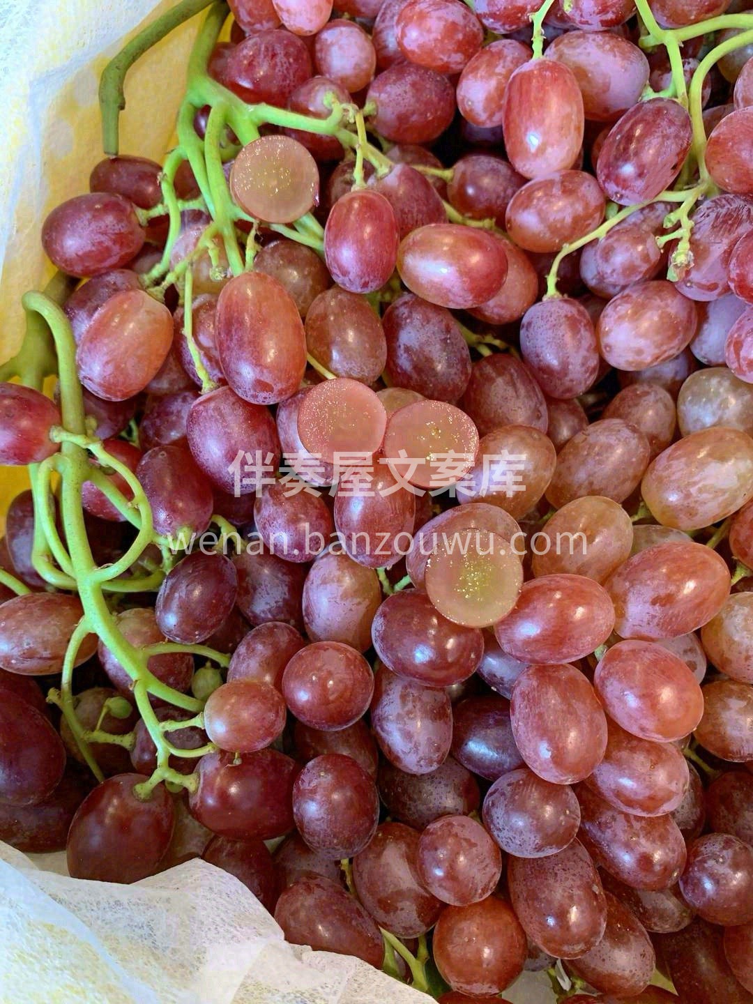 🍇克伦生红提，皮薄无核，个头如拇指般大👍 配图3