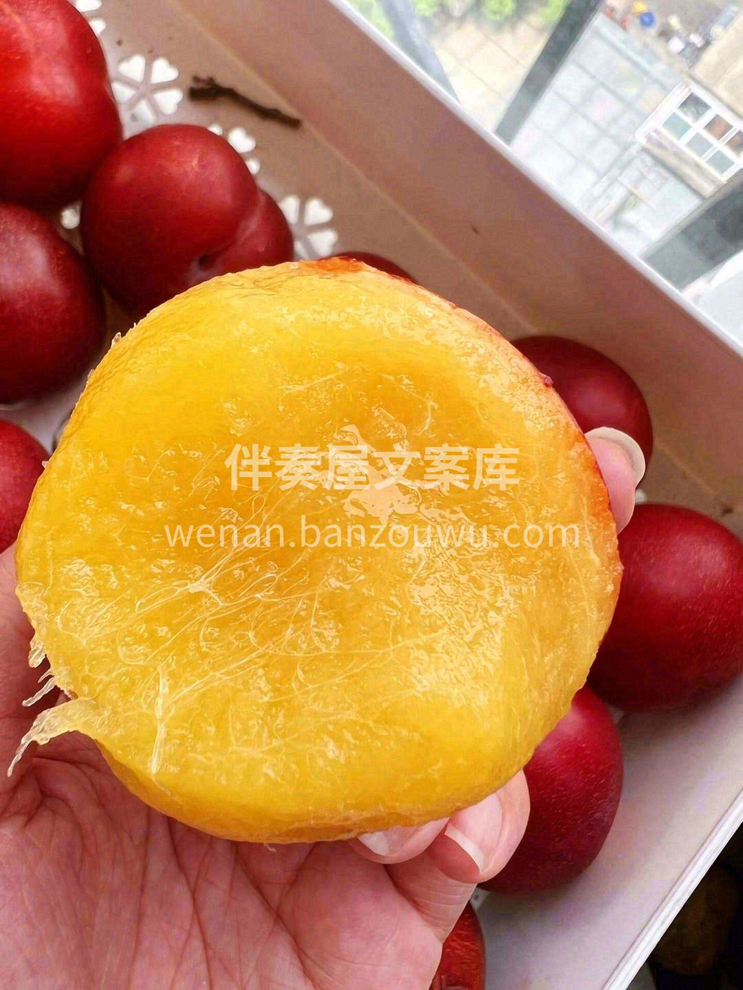 夏天超解腻的李子🌿——大红袍蜜李✨ 咬一 配图1