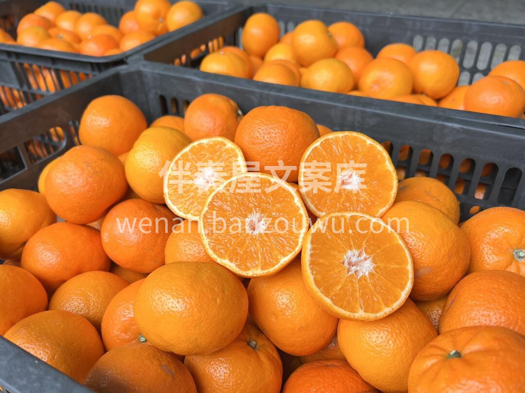 🍊 沃柑到货啦！🍊 果皮橙红好剥👌一撕就 配图2
