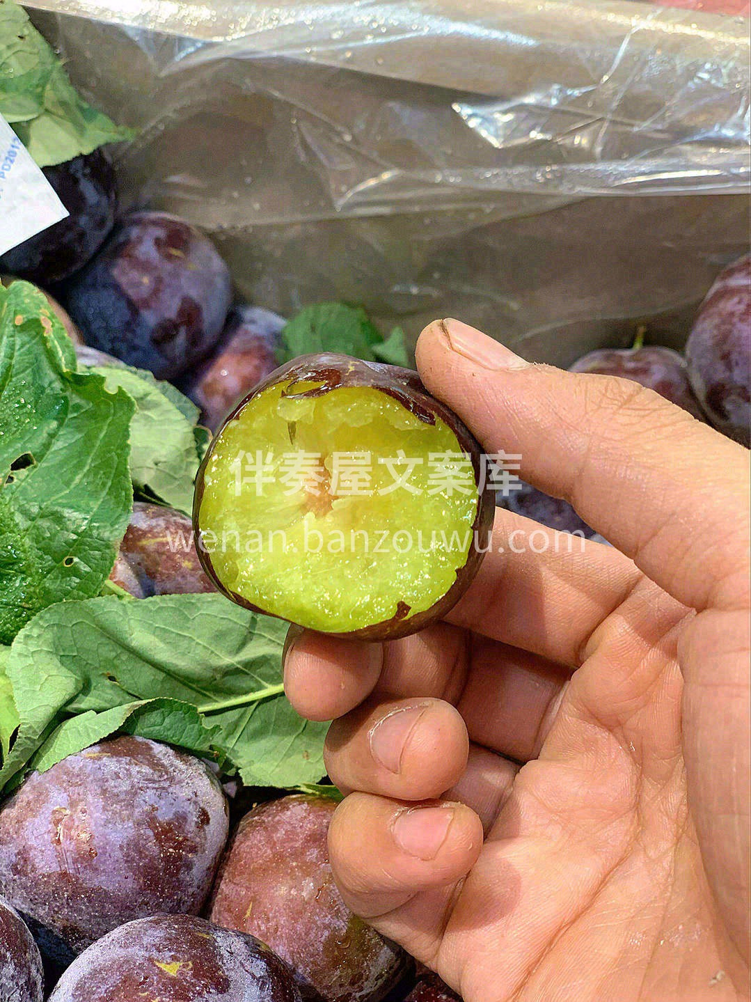 ✨咬一口，口舌生津 ✨咬两口，甘甜清脆  配图1