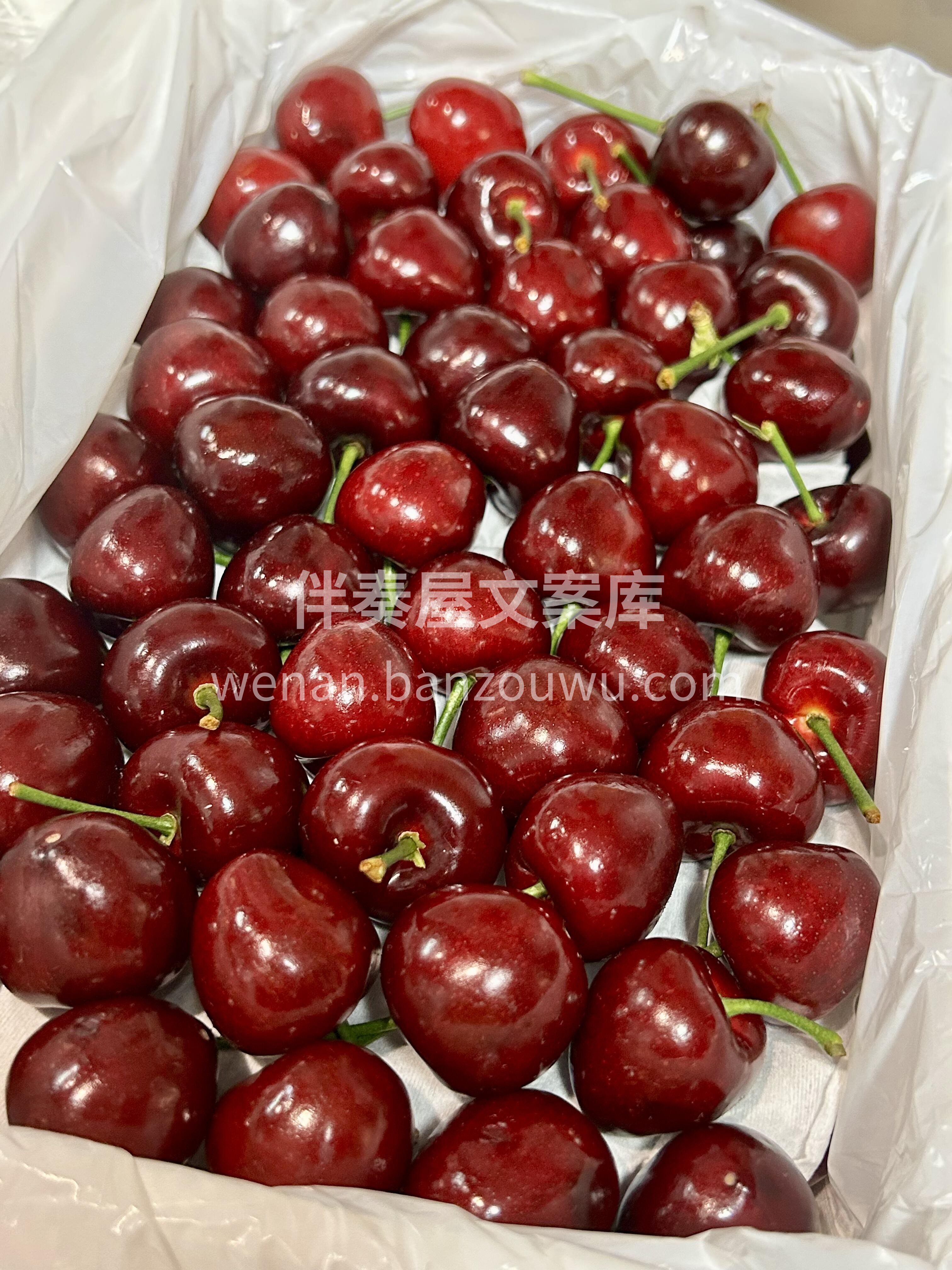 美早大樱桃🍒🍒 爆款美早·补货啦🍒 新鲜 配图2