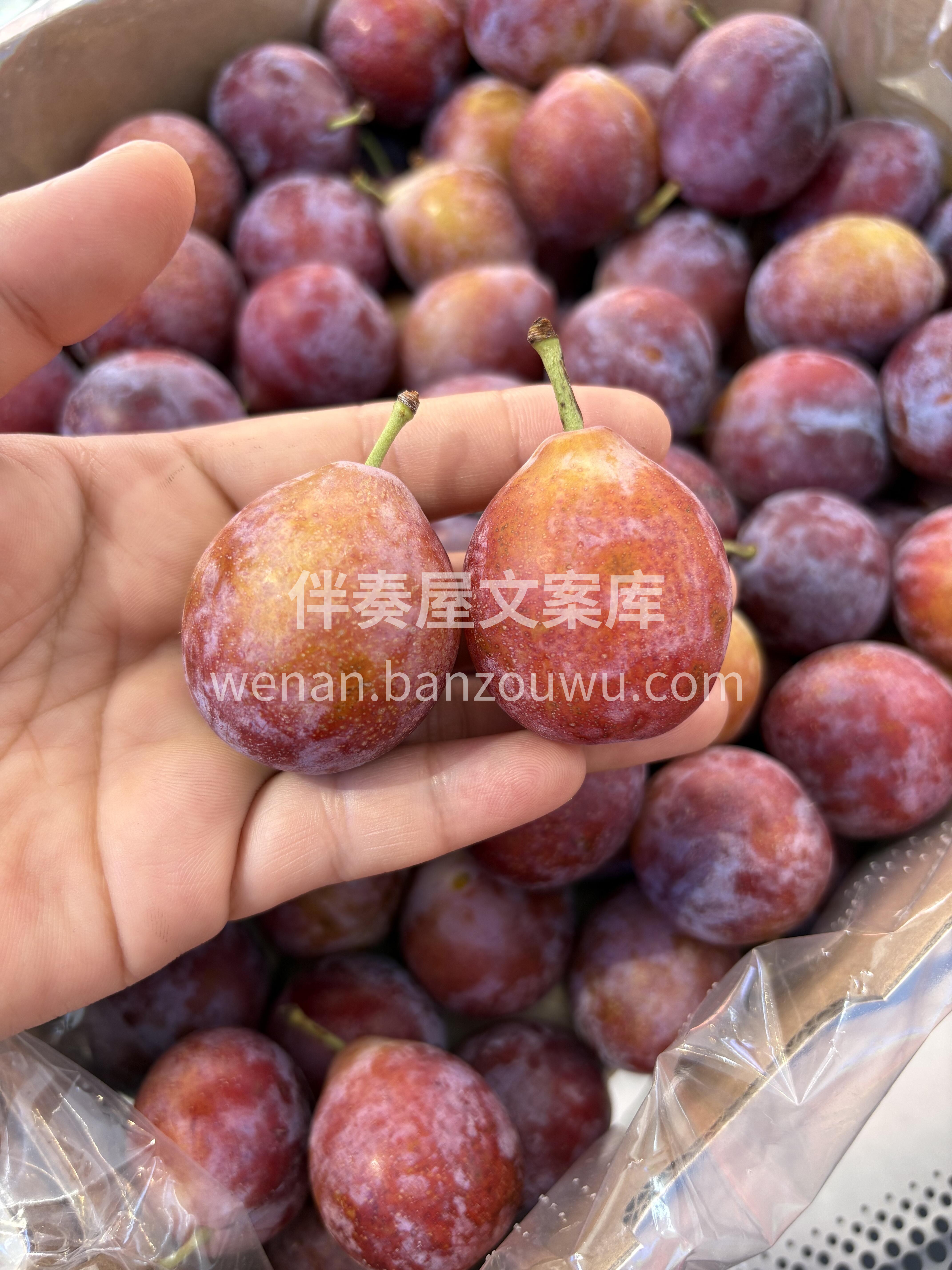 🫐 西梅！ ✨ 新疆法兰西西梅，紫得发亮 配图1