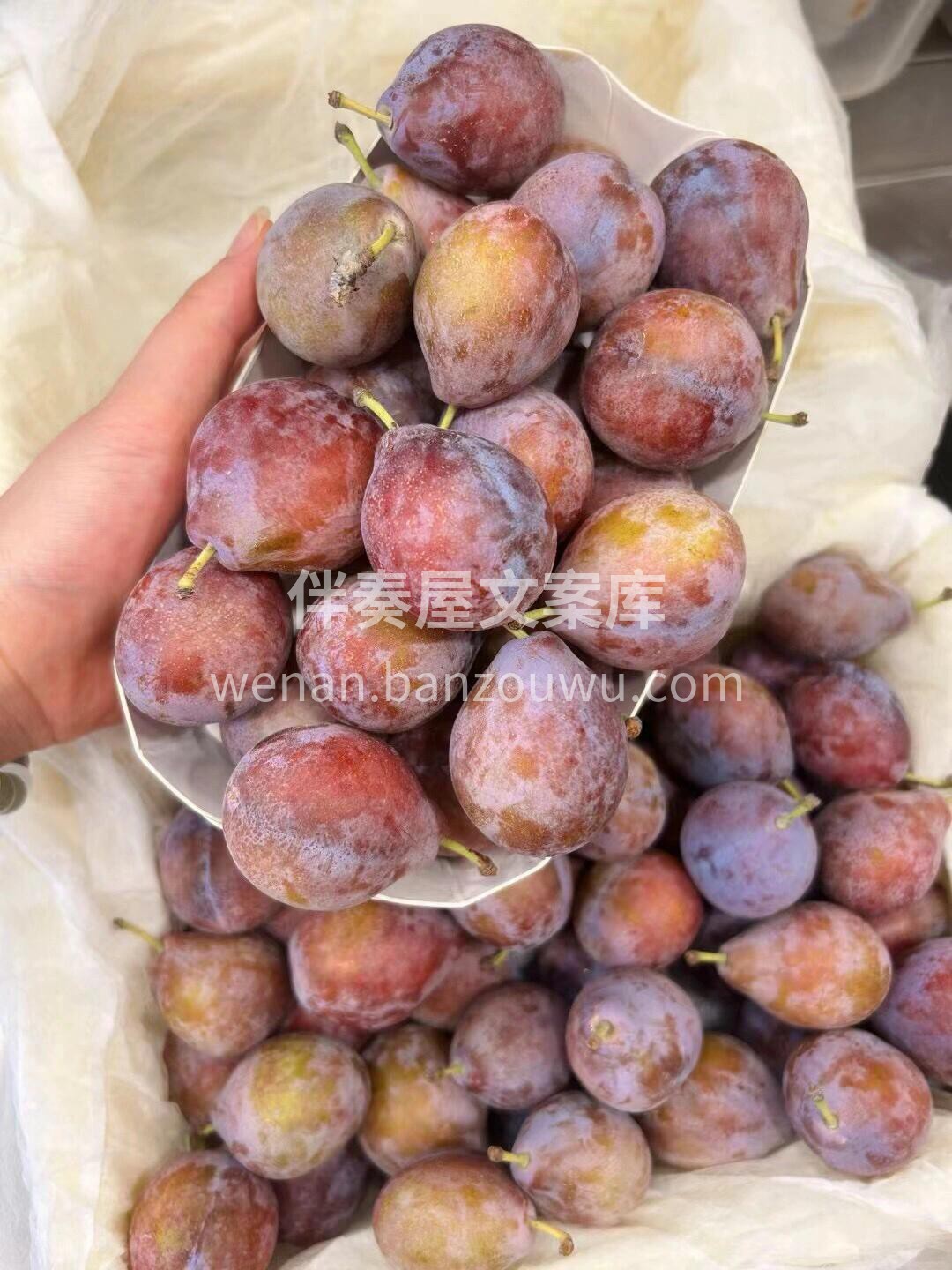 🆕 #当季新品 👑 【超甜西梅🌿 】 超 配图1