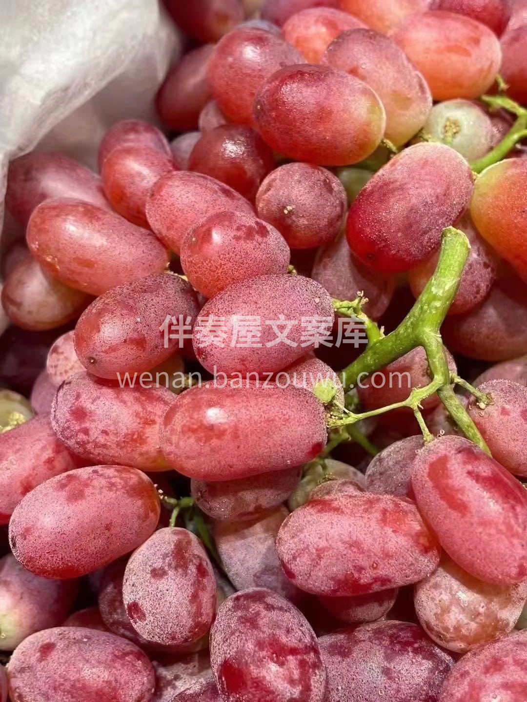 无籽红提🍇硬货到位💯 哪一颗都是嘎嘣的脆 配图2