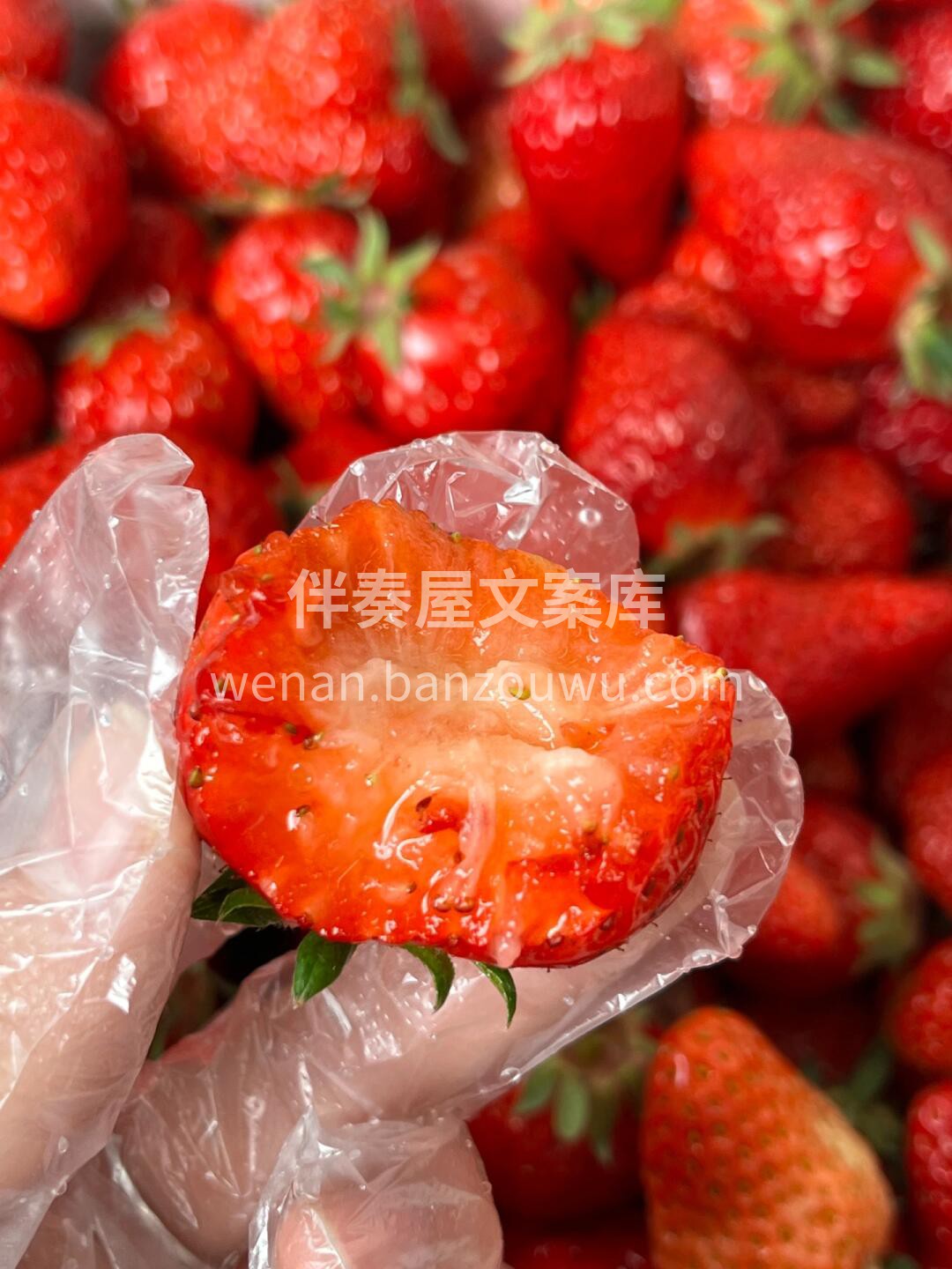 冬天的快乐🙂 丹东红颜草莓（超大果）🍓  配图2