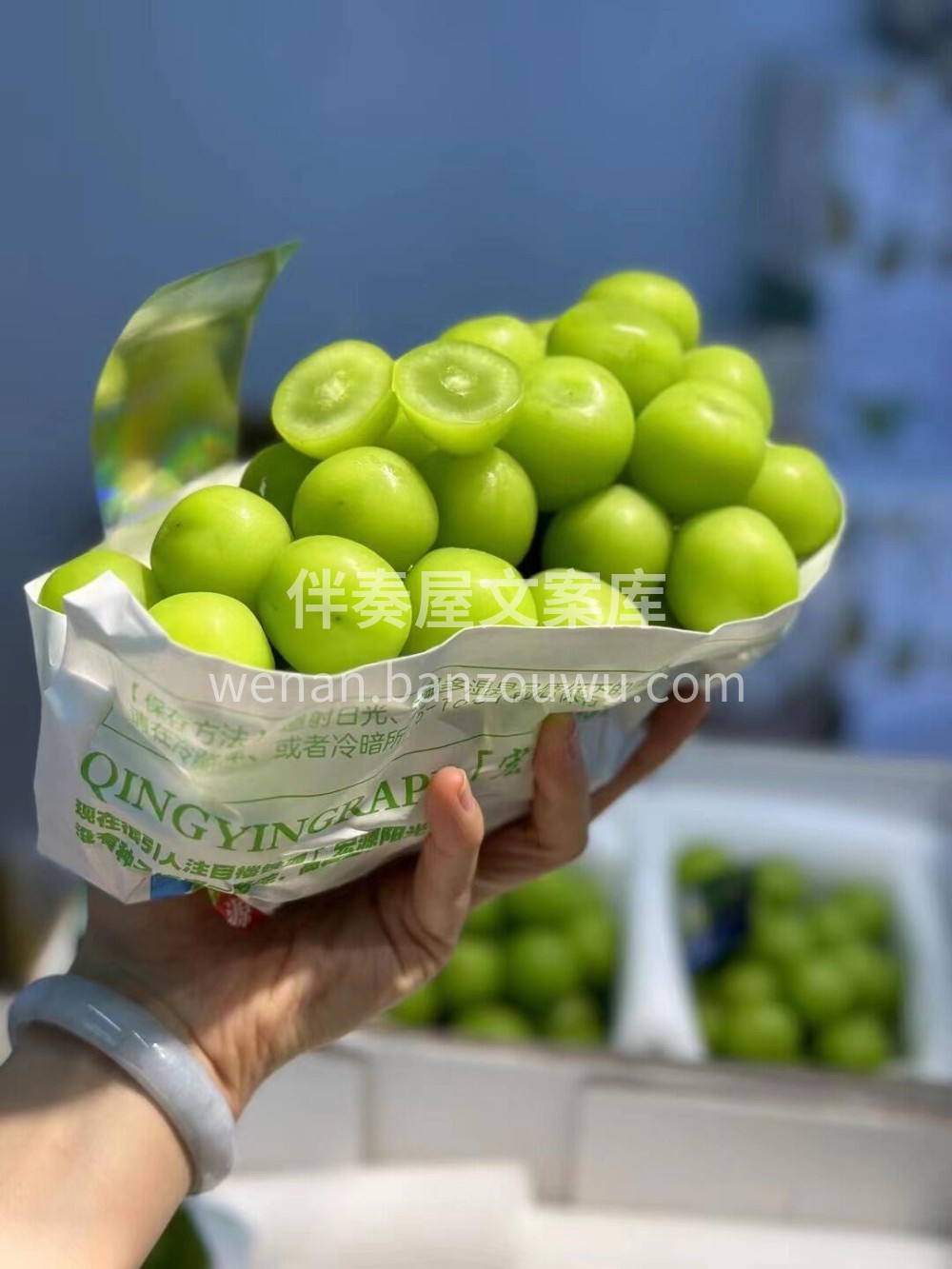 葡萄中的“C位”-晴王葡萄🍇 楼铁源不是 配图2