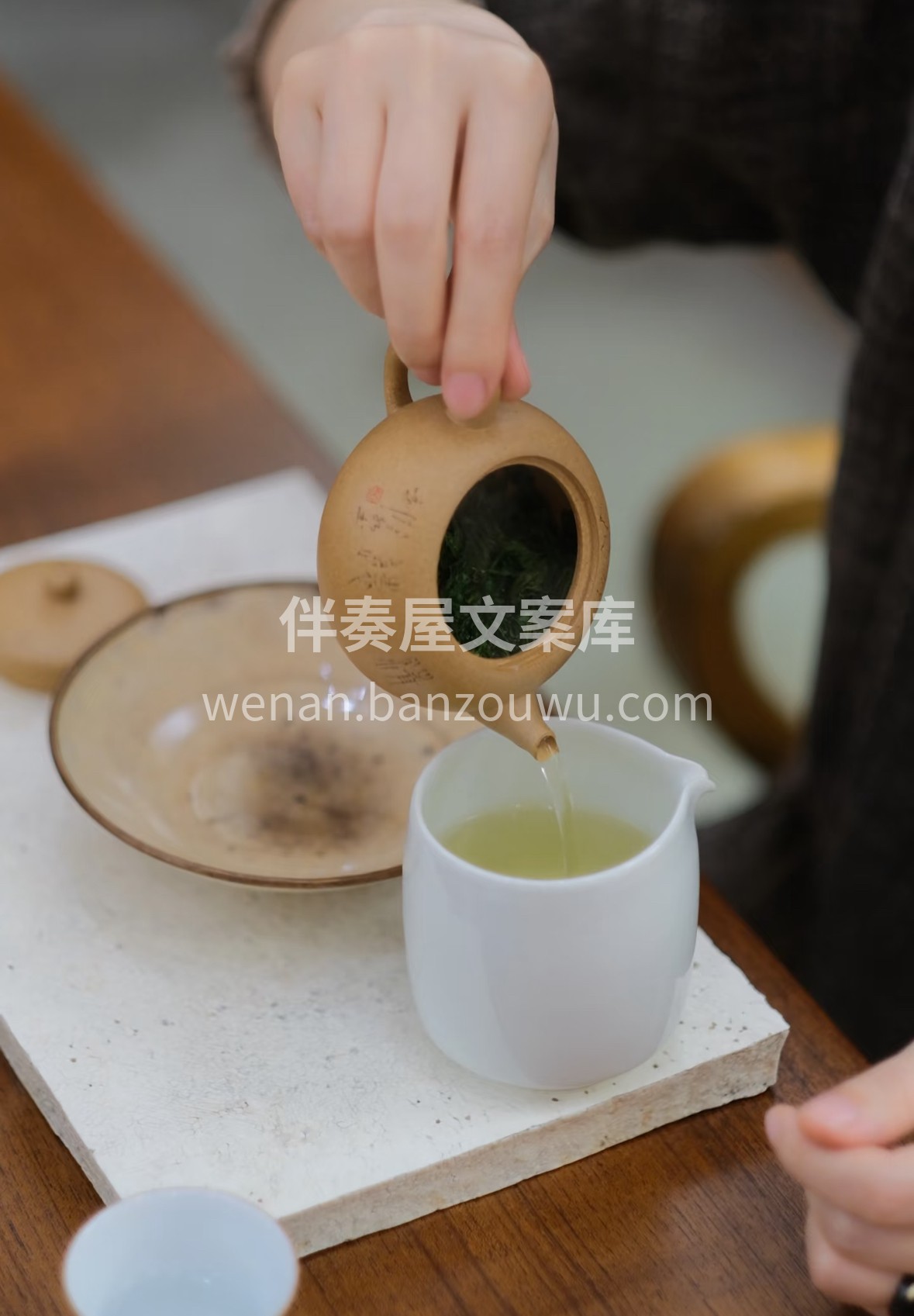 六安瓜片采的是蝙蝠洞再往上100米左右的 配图2