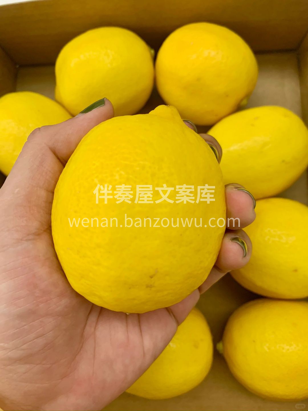 🍋【这柠檬真香‼️全是春天的清新味】 酸 配图2