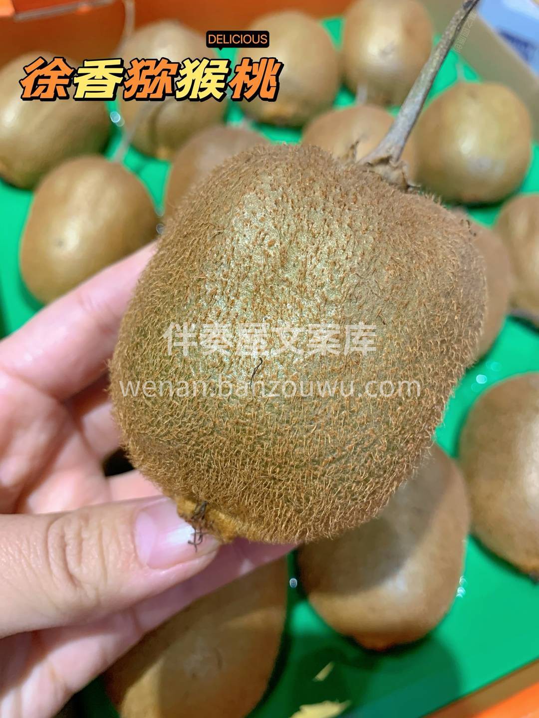 🌿徐香猕猴桃是大自然中最富活力的猕猴桃， 配图1