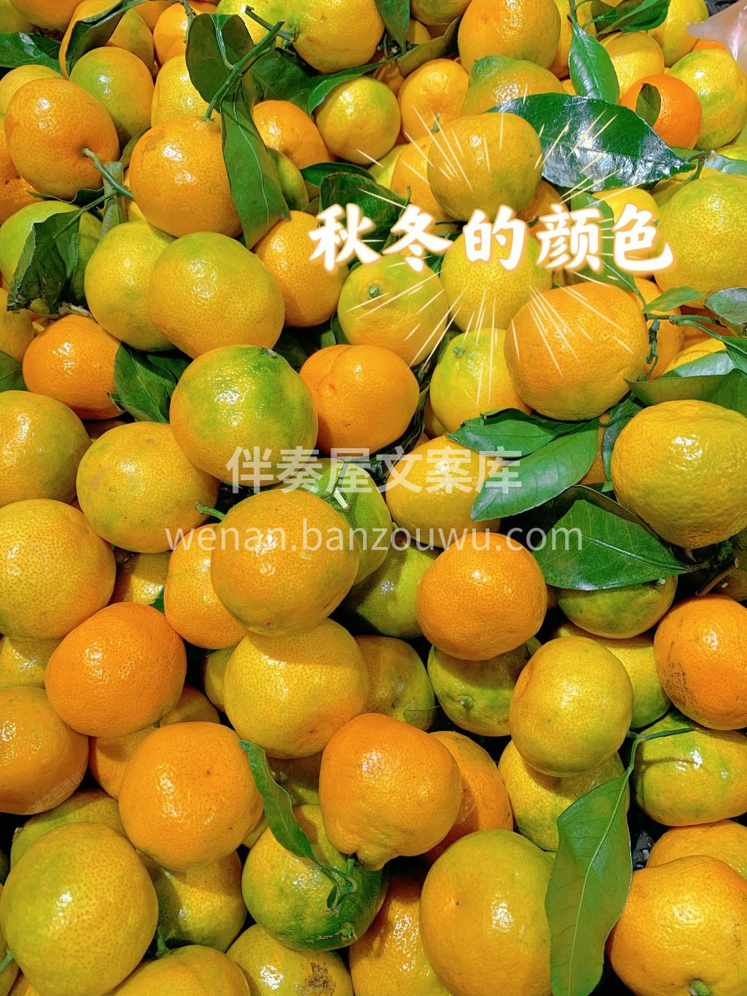 ⬆超高的维生素C和柠檬酸，不仅让蜜桔风味 配图2