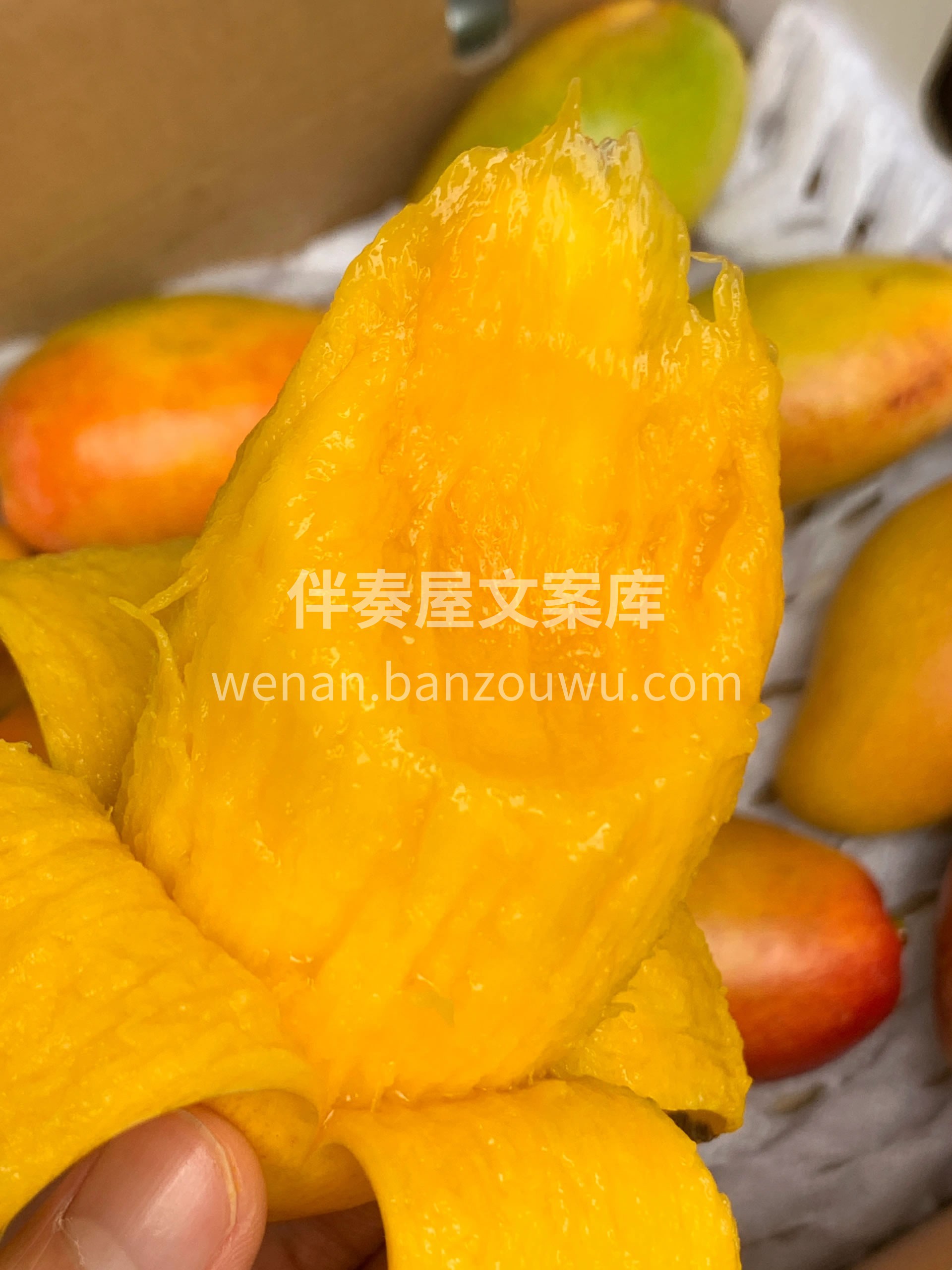 贵妃芒长得乖巧！颜值拉满🎉青红相接、黄绿 配图1