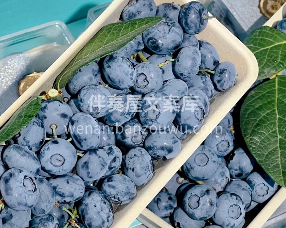 【枝冠蓝莓🍃】一款所有水果店公认的好蓝莓 配图3