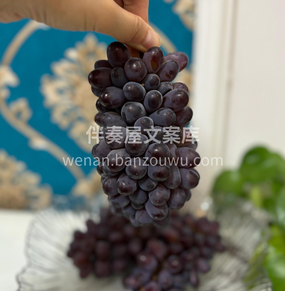 💥茉莉香葡萄🍇zui有格调的葡萄🍇——云 配图1