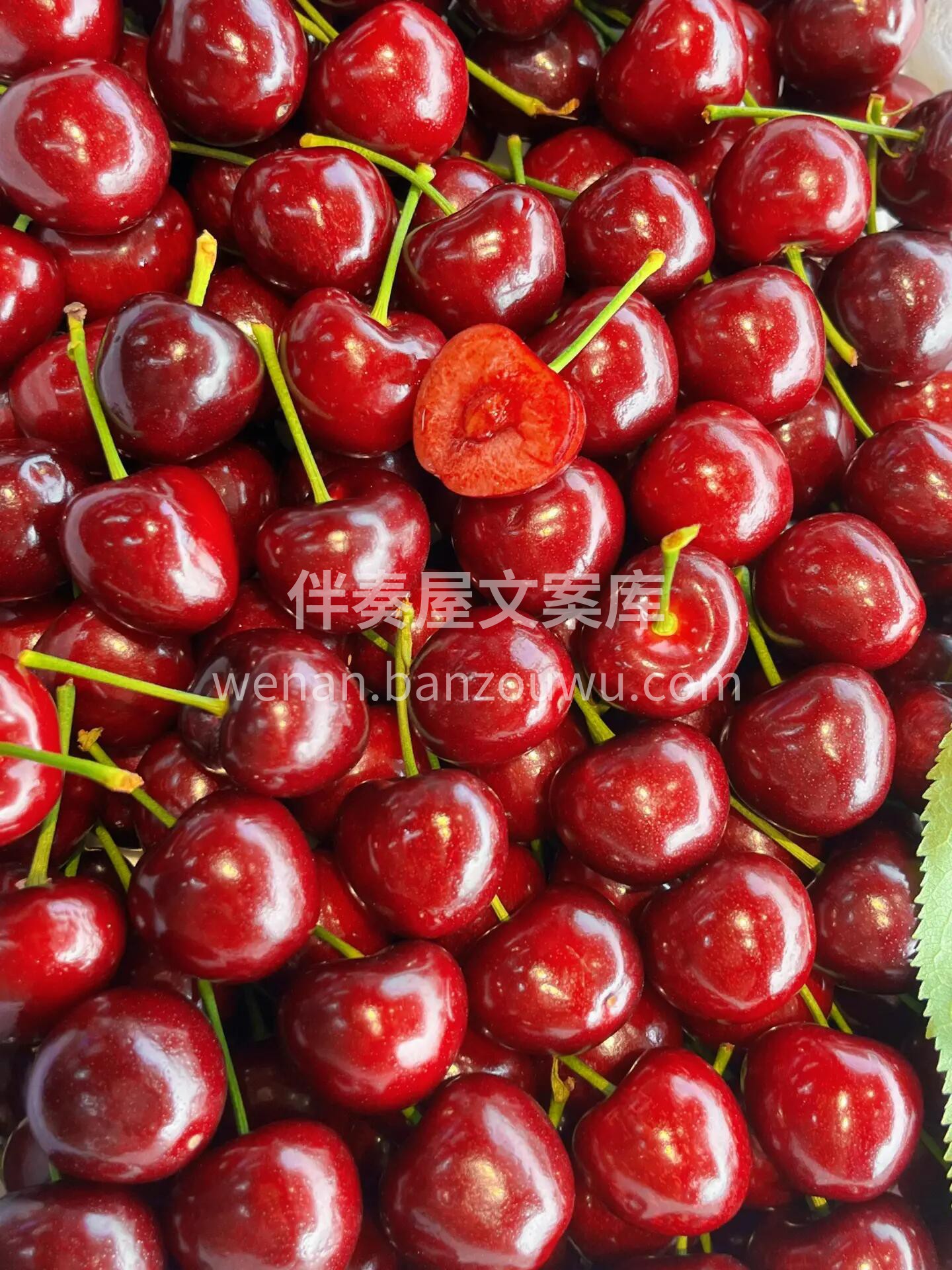 樱桃正当时～🍒 个大，肉厚，核小，饱满多 配图3