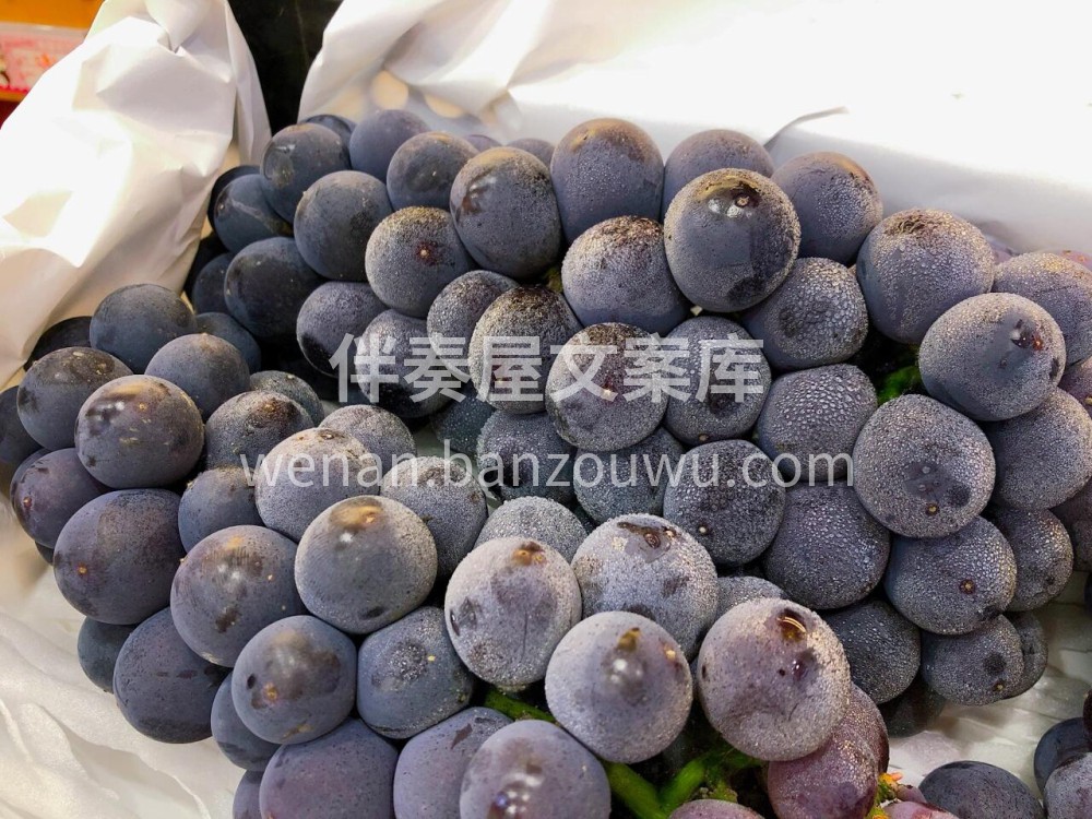 新鲜巨峰葡萄🍇颗粒圆润饱满，满满一层果粉 配图3
