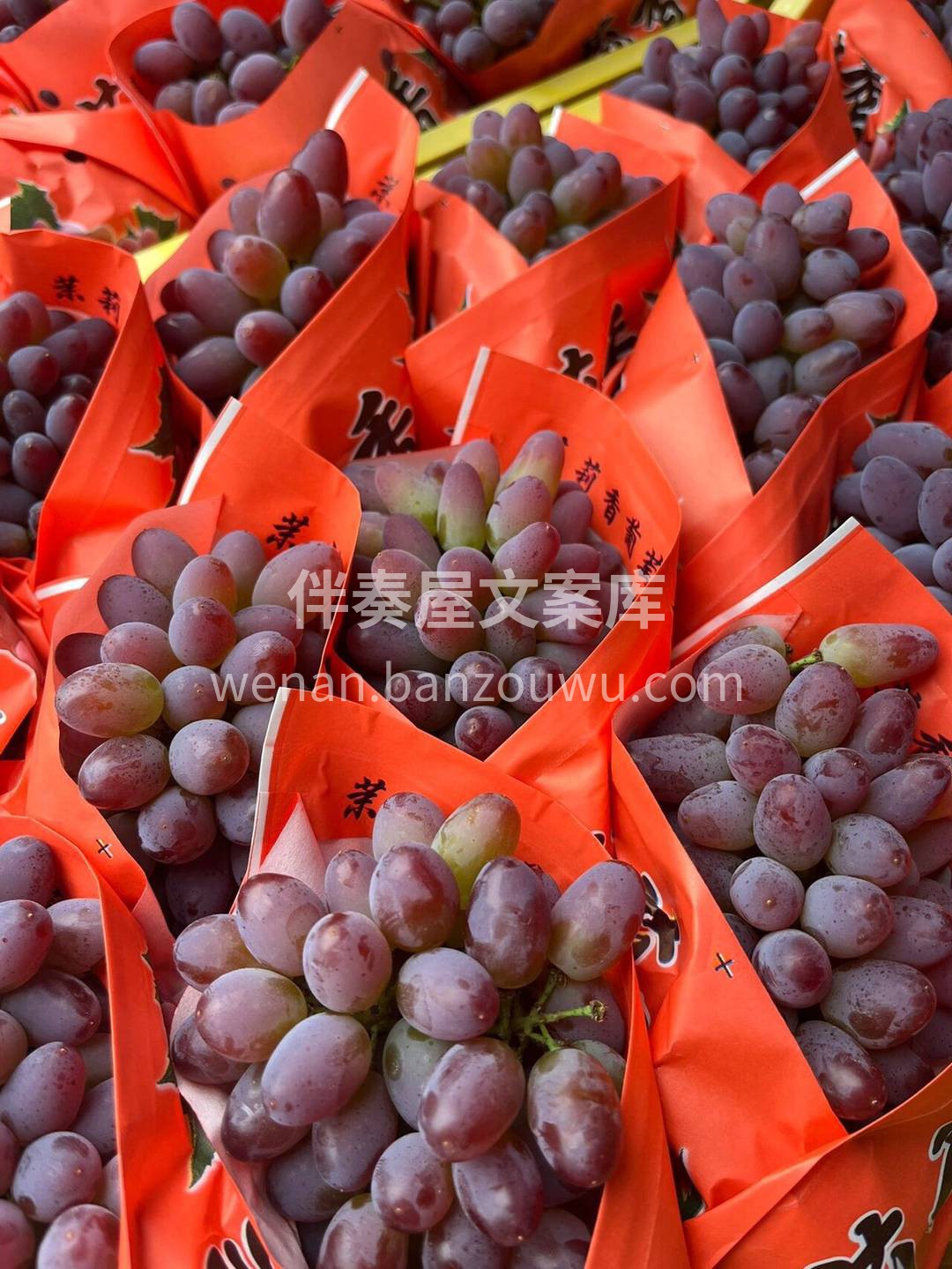 吃一口甜蜜一整夏🌈，回味着花的香气🌷 爱 配图1