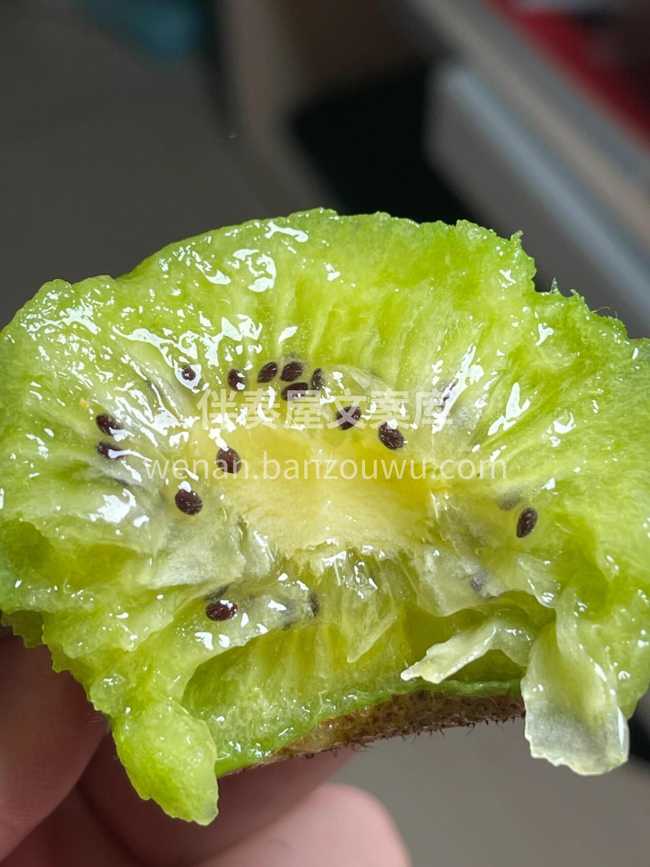 🥝 奇异果上市！🥝 毛茸茸外表藏着翠绿果 配图1