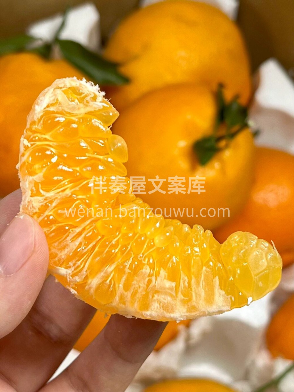 ☘️愿大家这个冬天都是橘子的浪漫！ 🍊希 配图2
