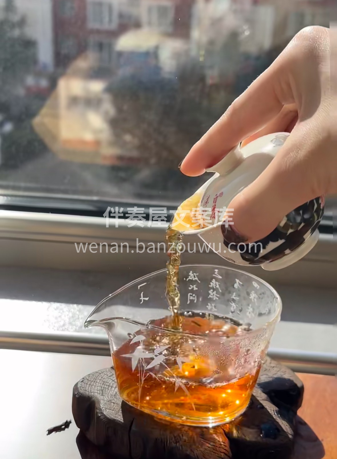 冬日限定幸福感：热茶+暖阳☀️ 随手泡上 配图1