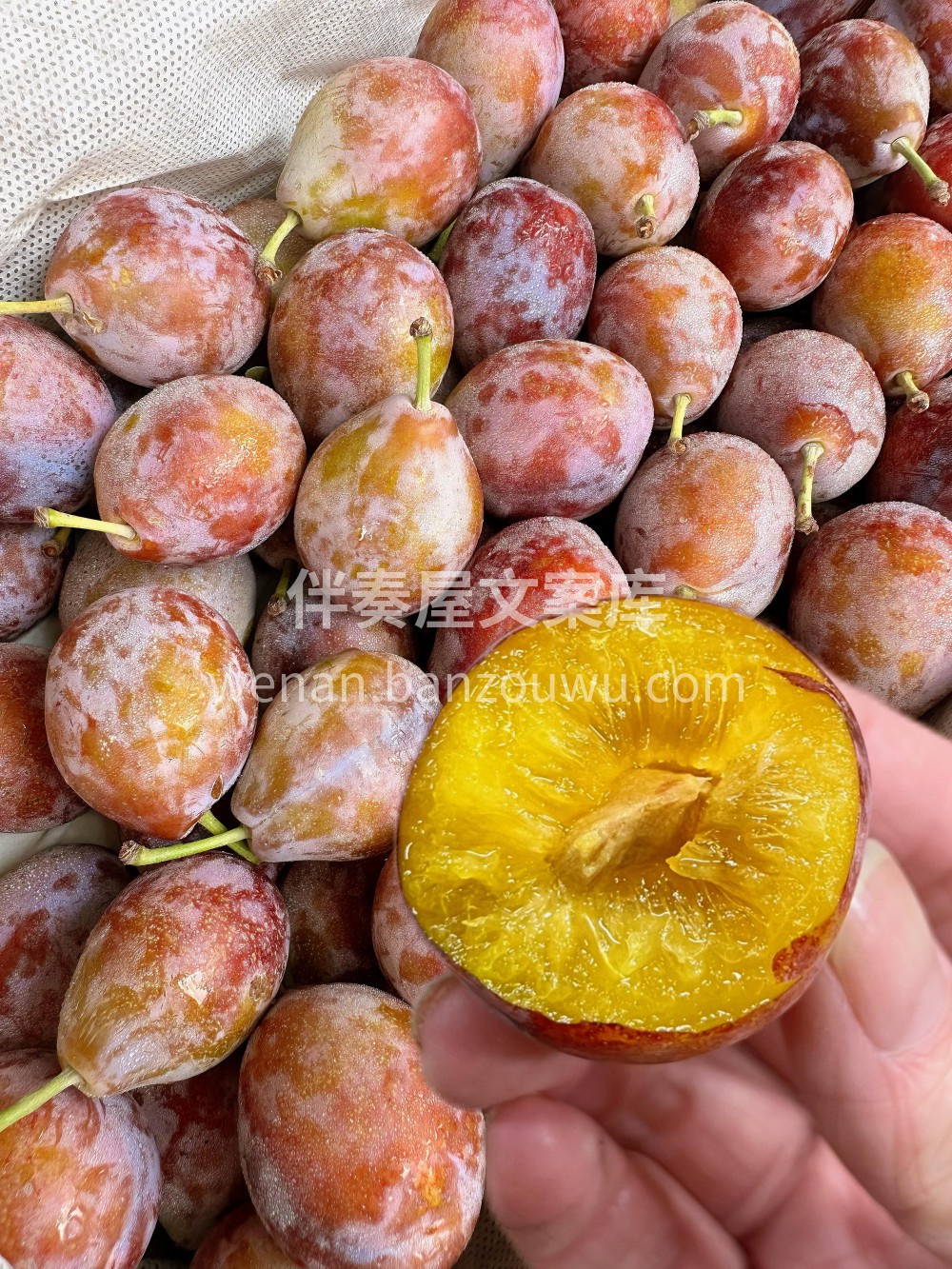 👏🏻👏🏻 新鲜到货啦😍女神最爱的消食水果 配图2