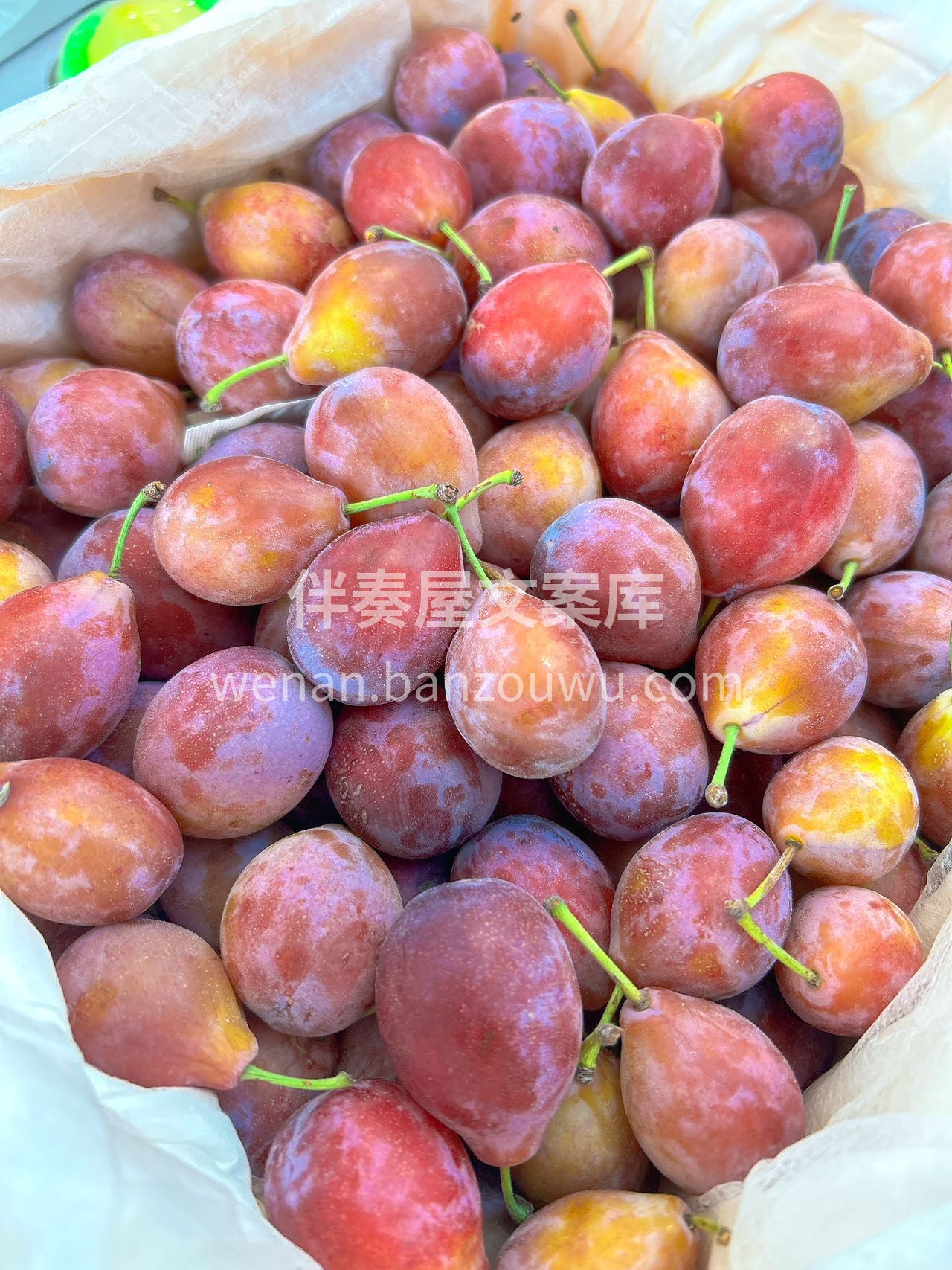女神果🥰，肠道的保护卫士，新疆喀什西梅， 配图3