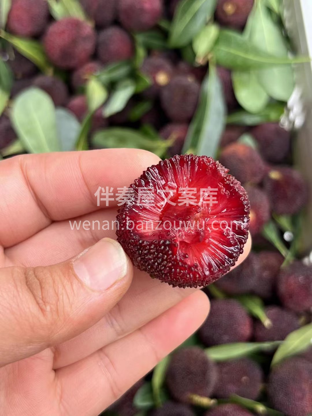 🌈空运东魁杨梅✨ 不泡药不过水，颗颗饱满 配图1