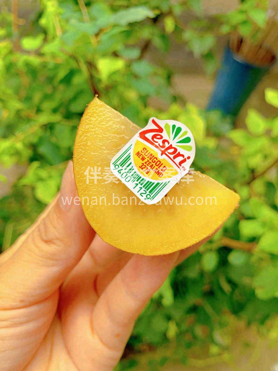 ✨精选单重134-146g规格，大果更满 配图1