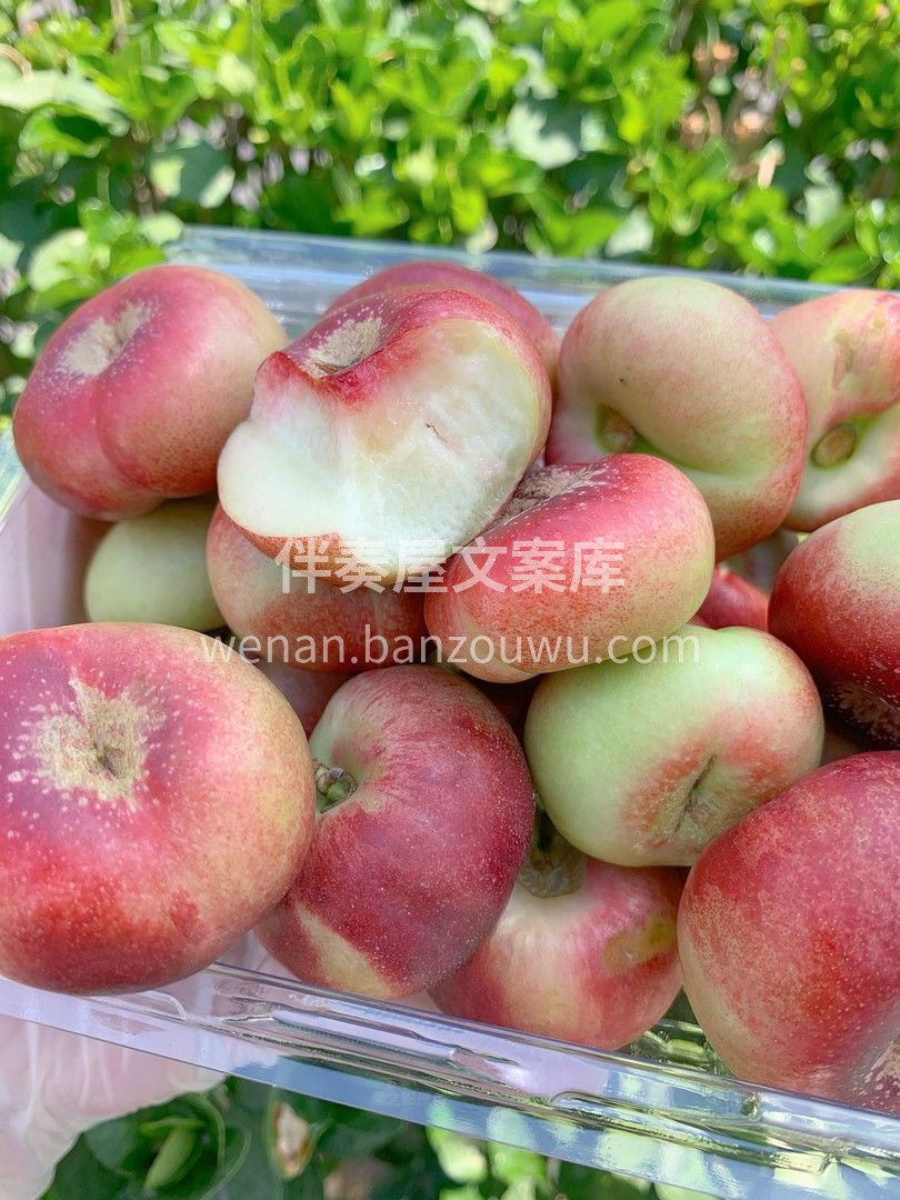 纽扣蟠桃🍑 应了那句话“浓缩的都是精华” 配图2