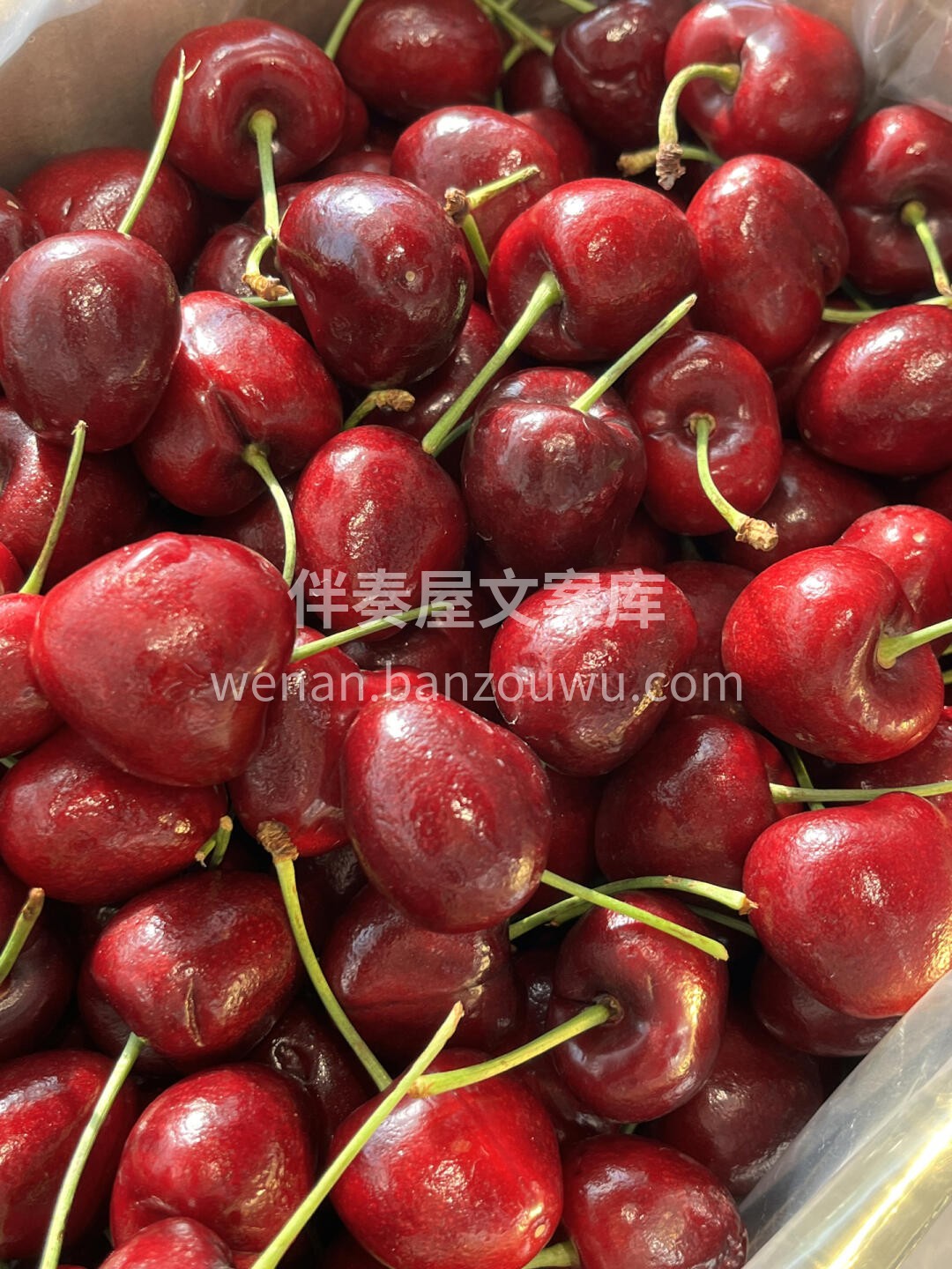 冬天第一颗车厘子的寓意🌸： 你是最珍贵的 配图2