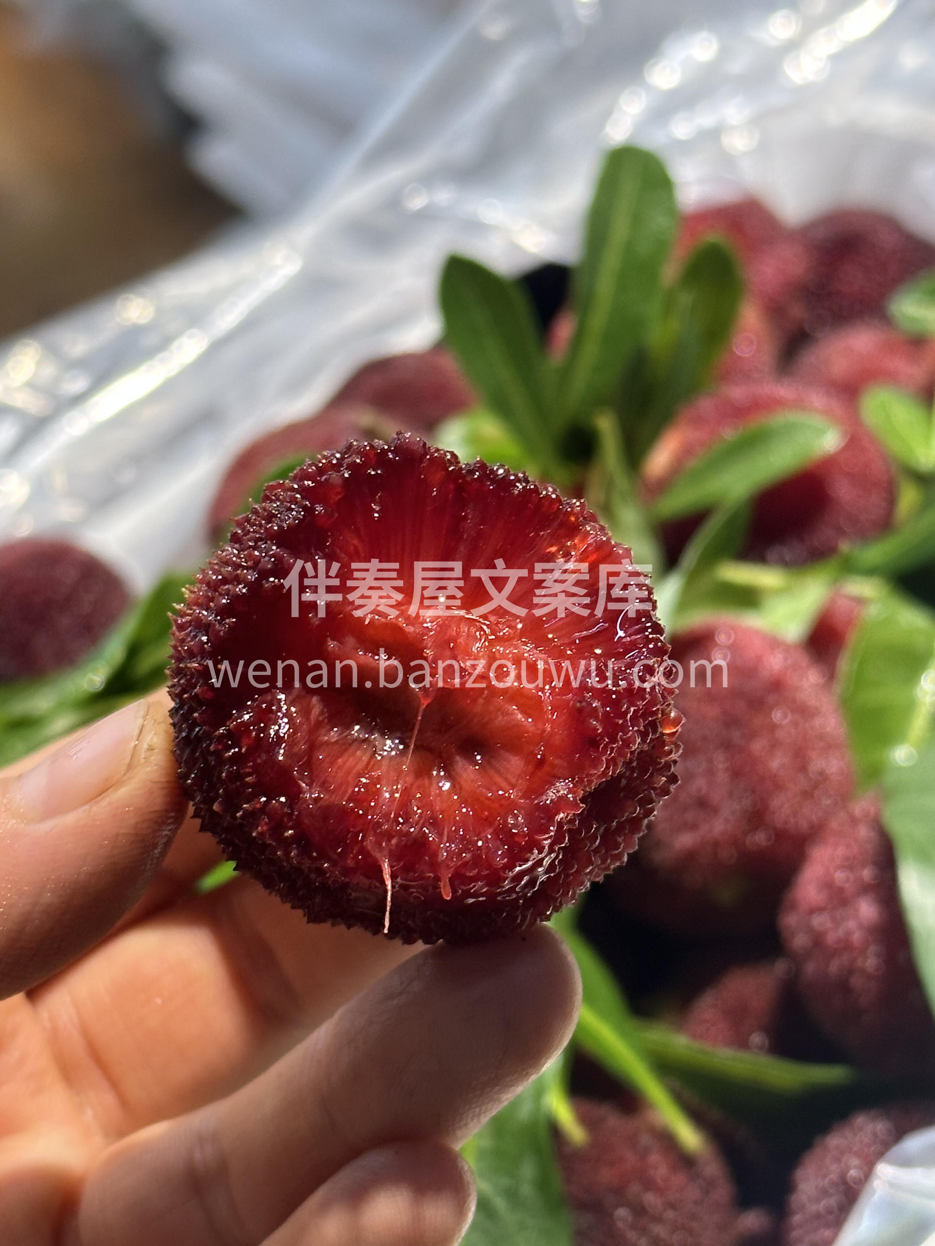 【东魁杨梅】新鲜到店🔥 ❤️ 东魁杨梅可 配图1