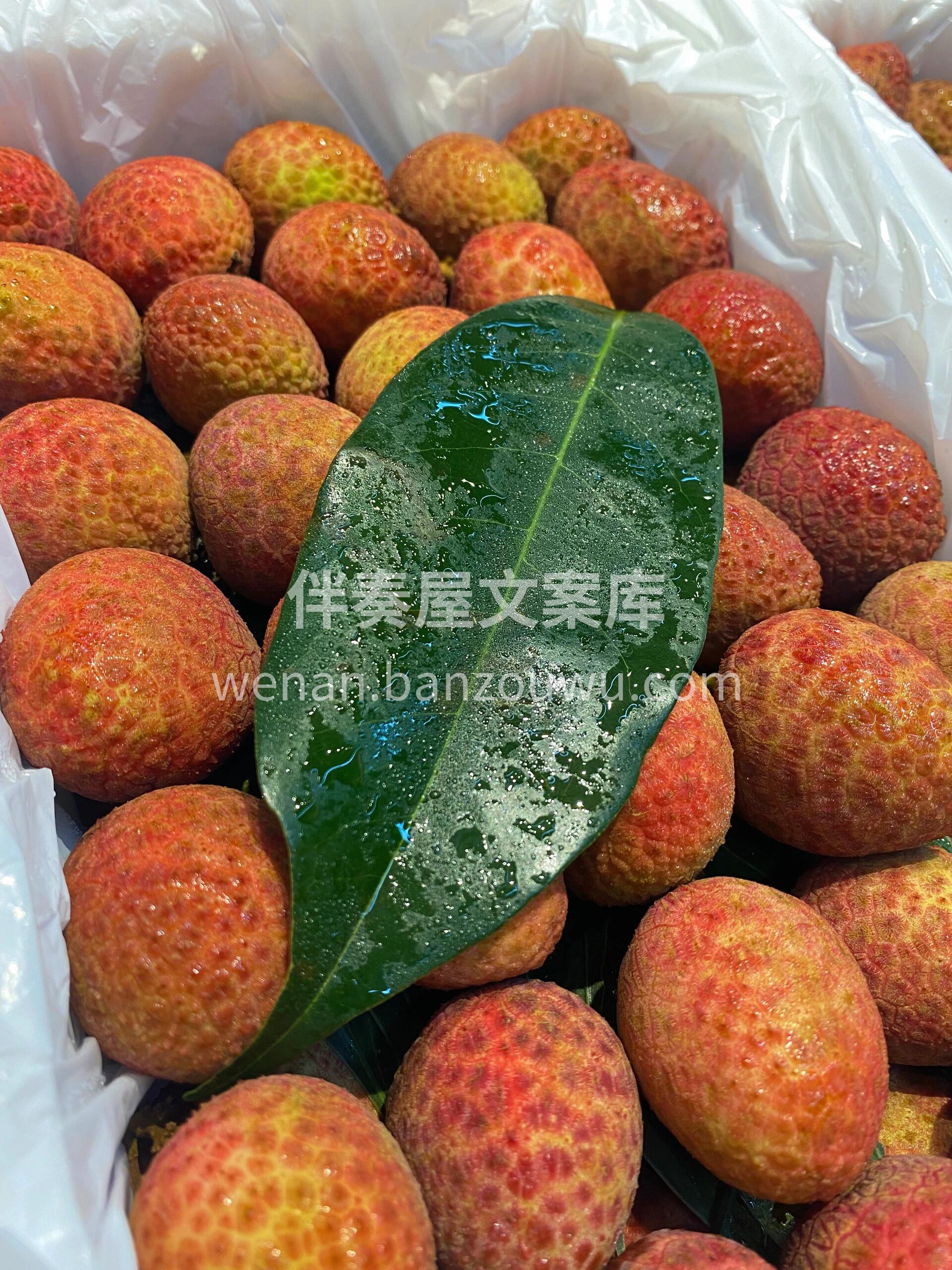 今天的水果吃了吗？🫐🍓🥒🍏🍎 每天吃水果 配图1
