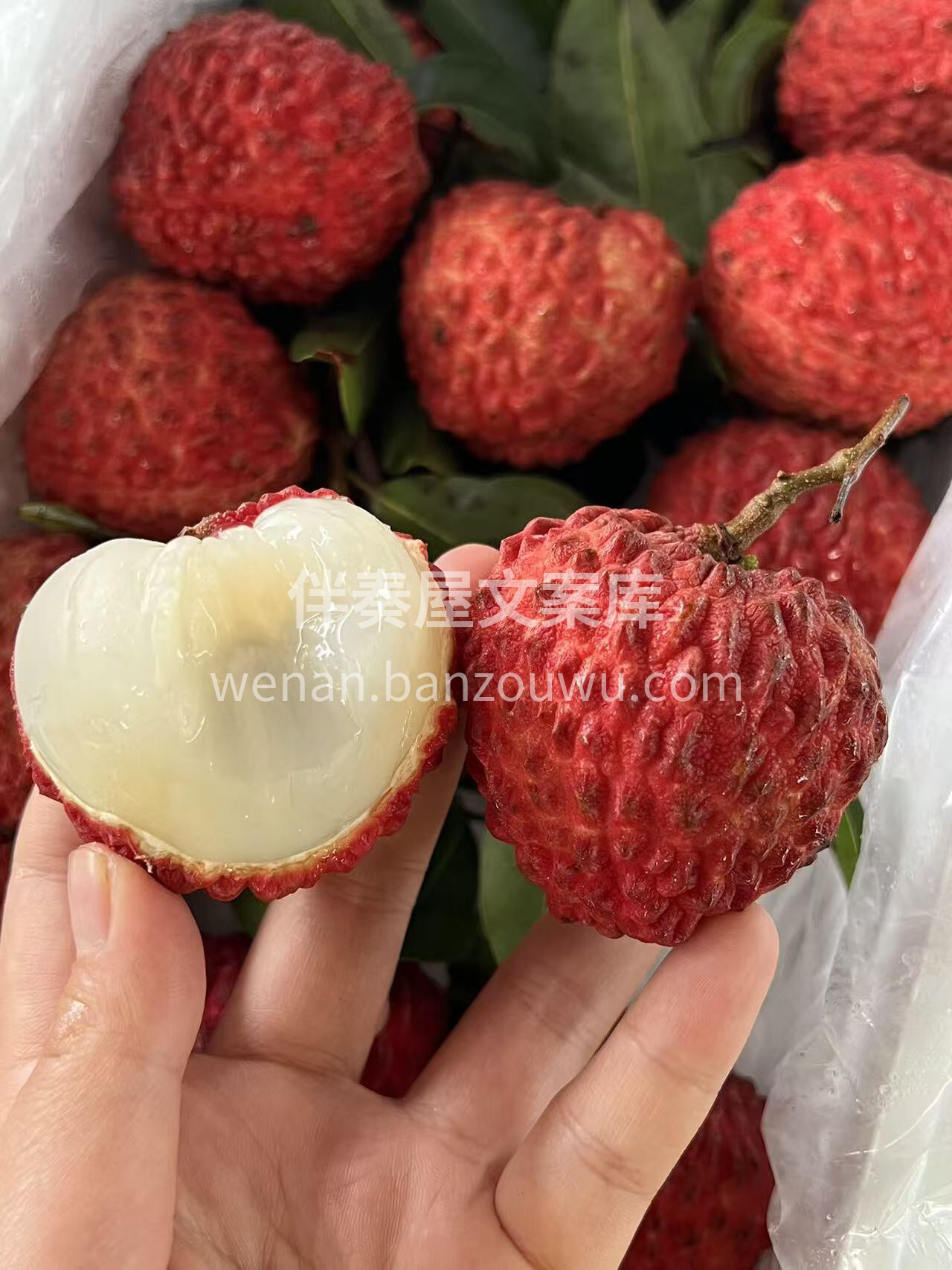 超级爱的荔枝王❤️ 🌷荔枝届的巨星😍荔枝 配图2