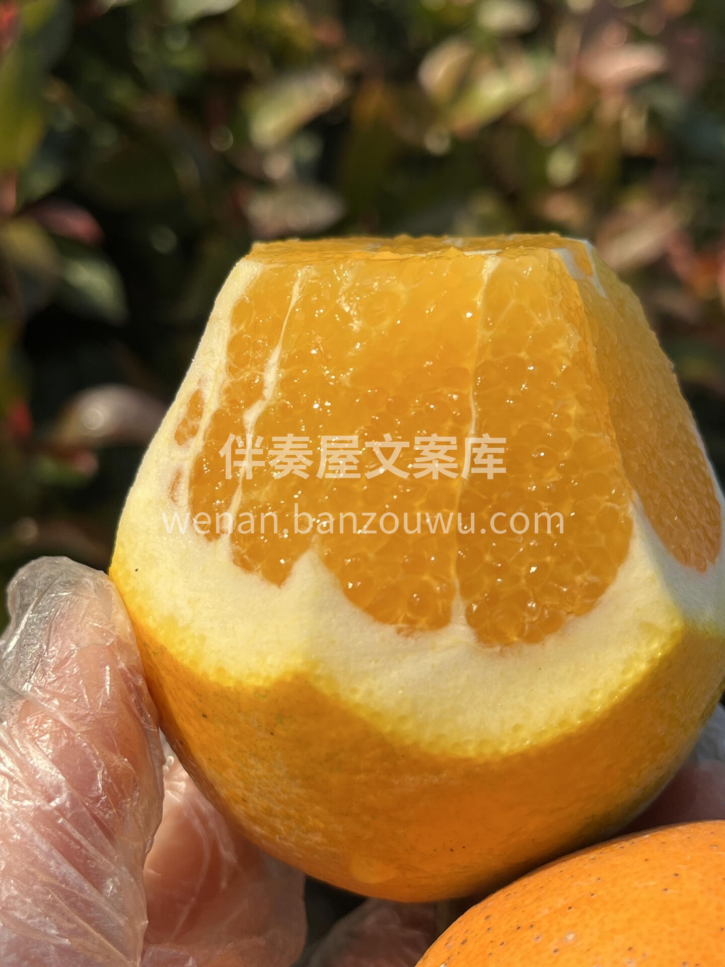 🍊赣南脐橙不止香气迷人😍， 其果肉更是入 配图2