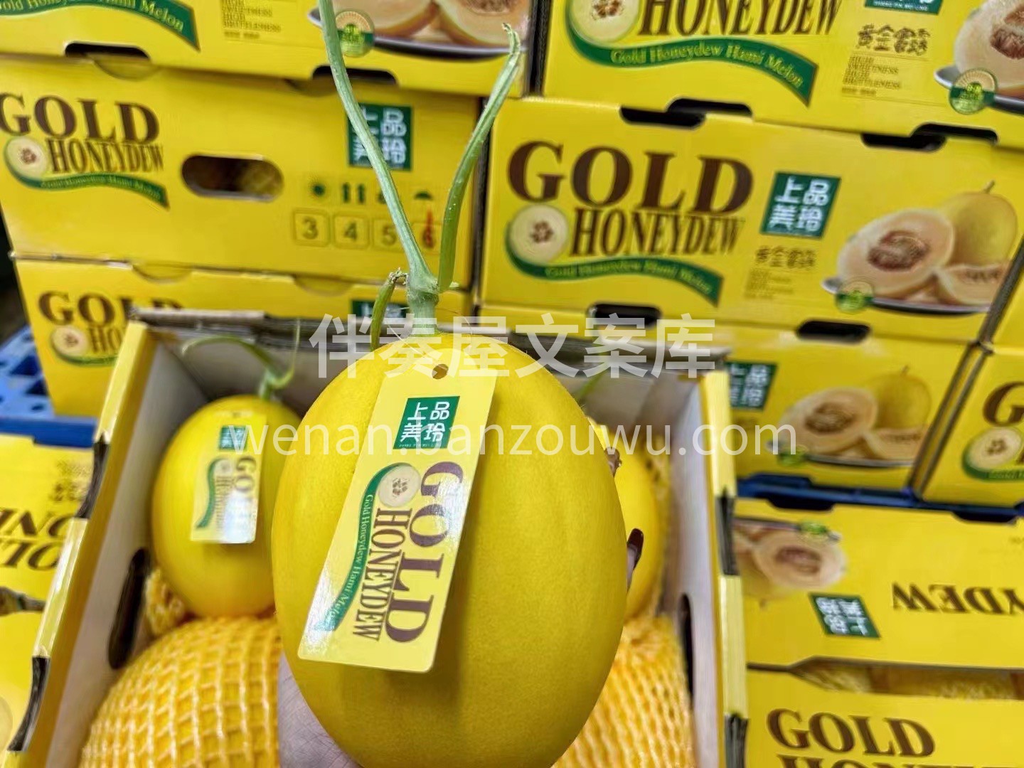 上品金玲黄金蜜露 宛如打翻蜜罐，一般的甜 配图3