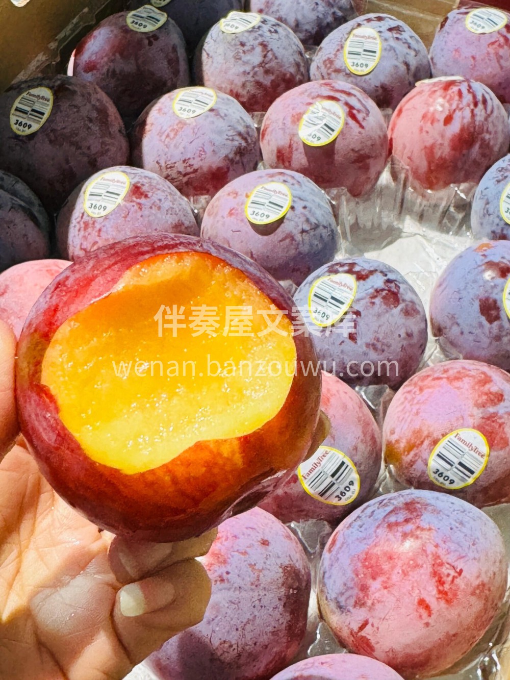 🌈【水果调色盘】 上帝打翻了调色盘，🌈于是有了这些可爱的水果 配图6
