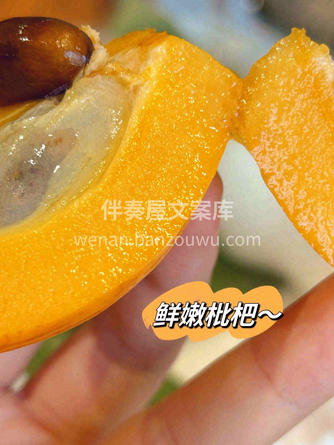 心有度，食无疆，唯有美食不可辜负💗！ 山 配图3