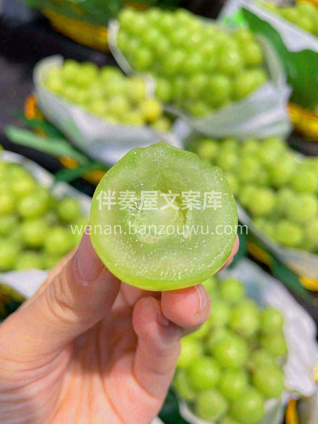 🍇紧凑致密，每一颗都是圆鼓鼓的小胖子，看 配图1