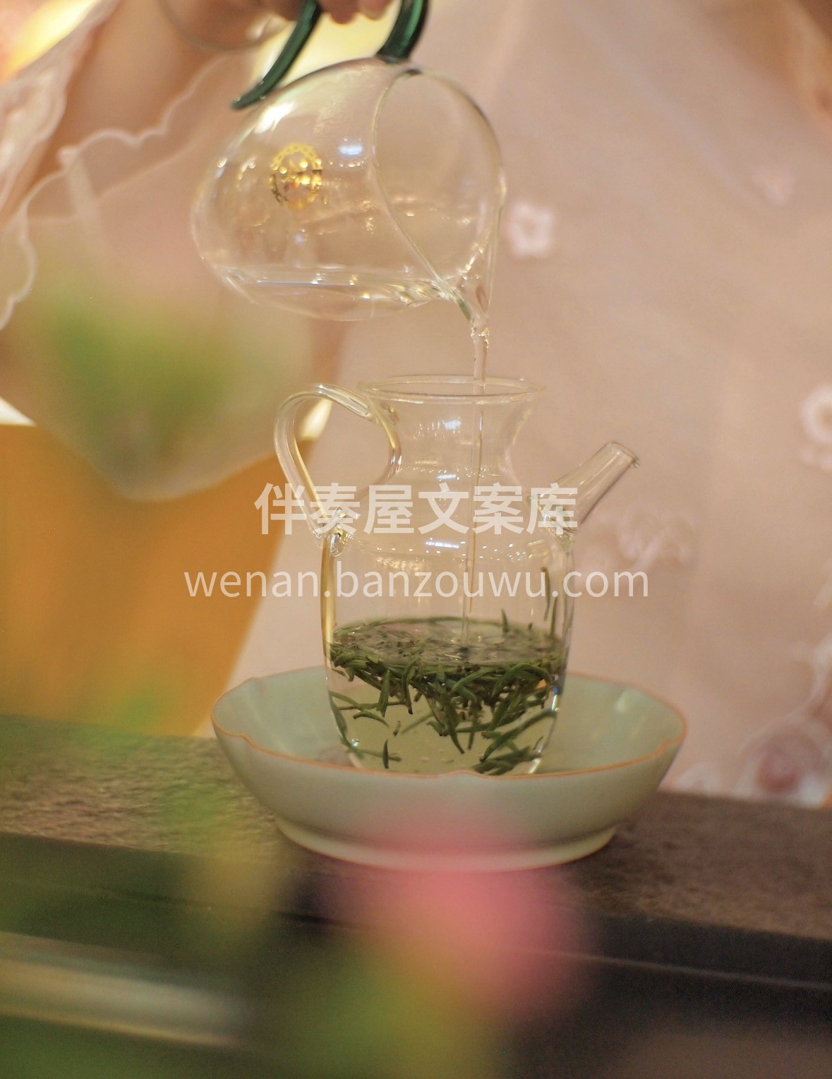 【春日上新·中茶绿雀舌】 明前采摘，芽头 配图2