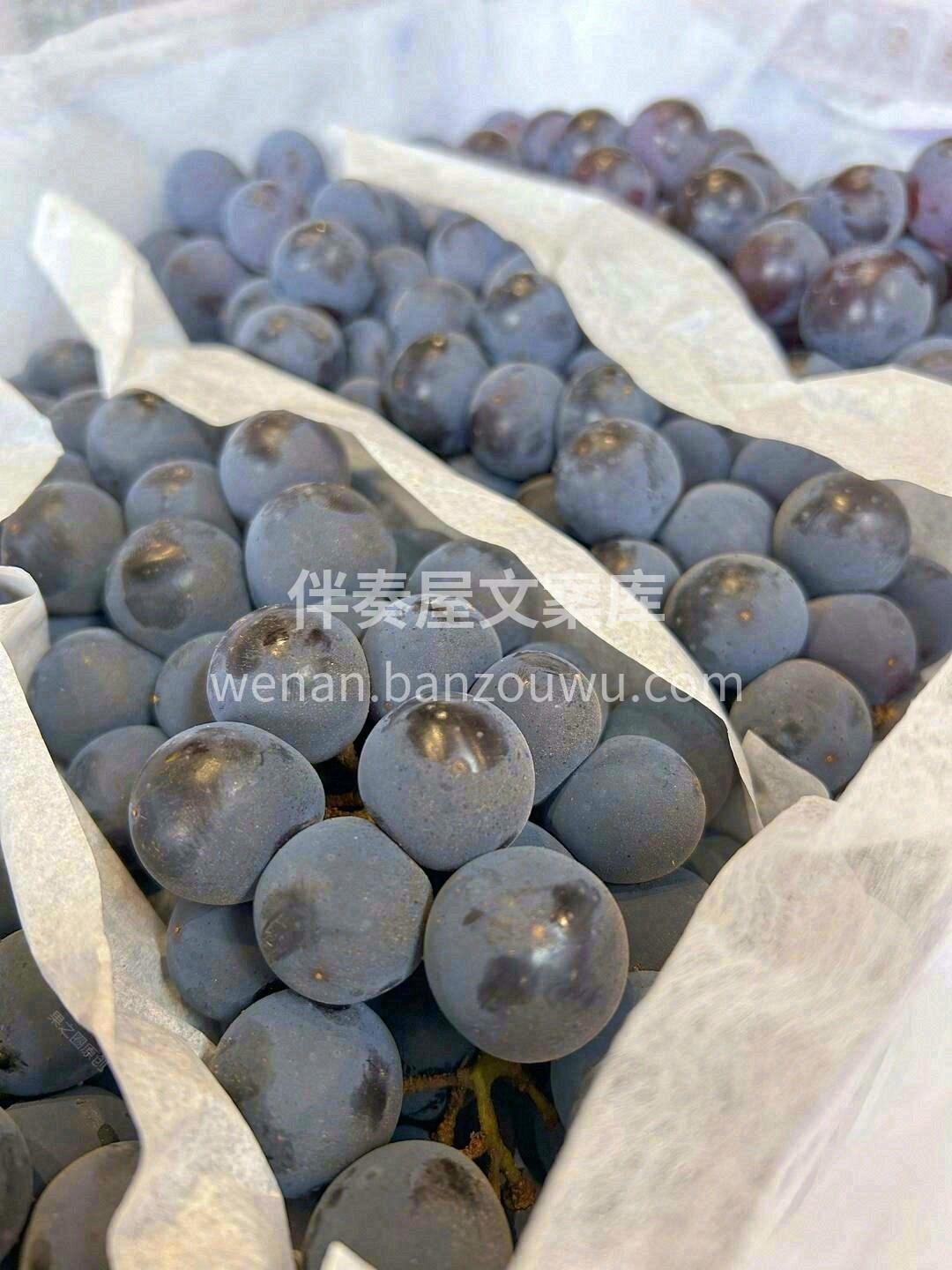 👉夏黑葡萄散发着浓郁的混合香气🌹，幸福的 配图2