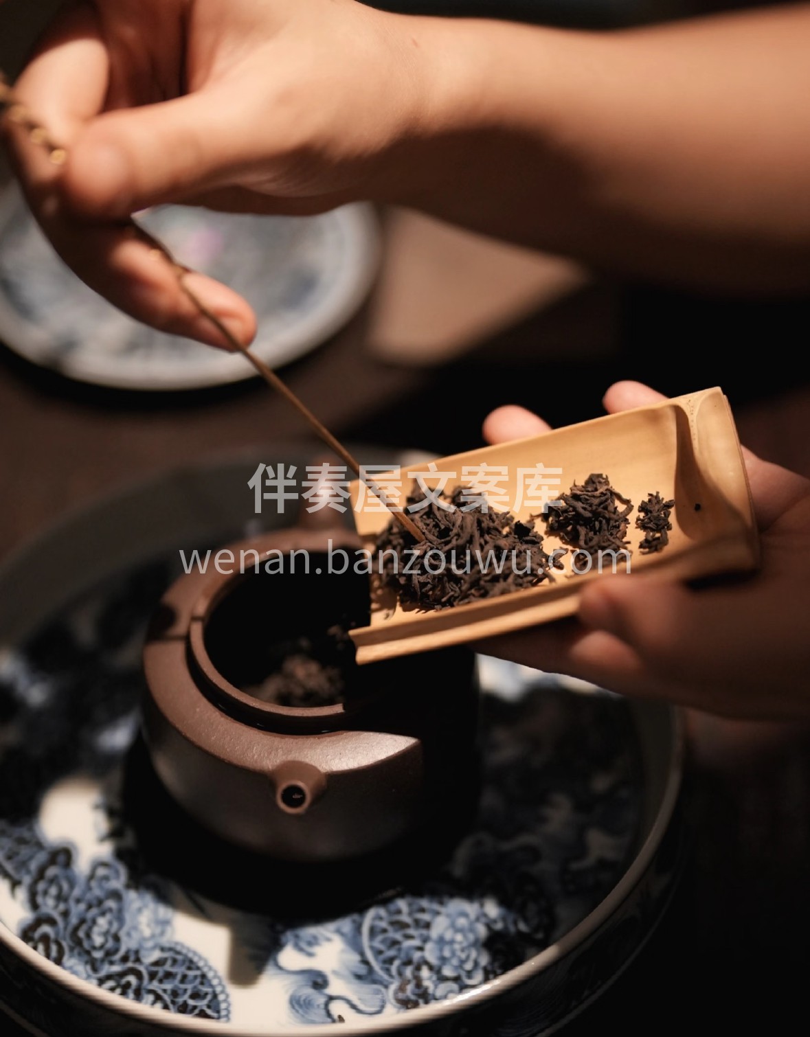 梧州六堡新茶到店！干茶褐润显金毫，煮泡后 配图1