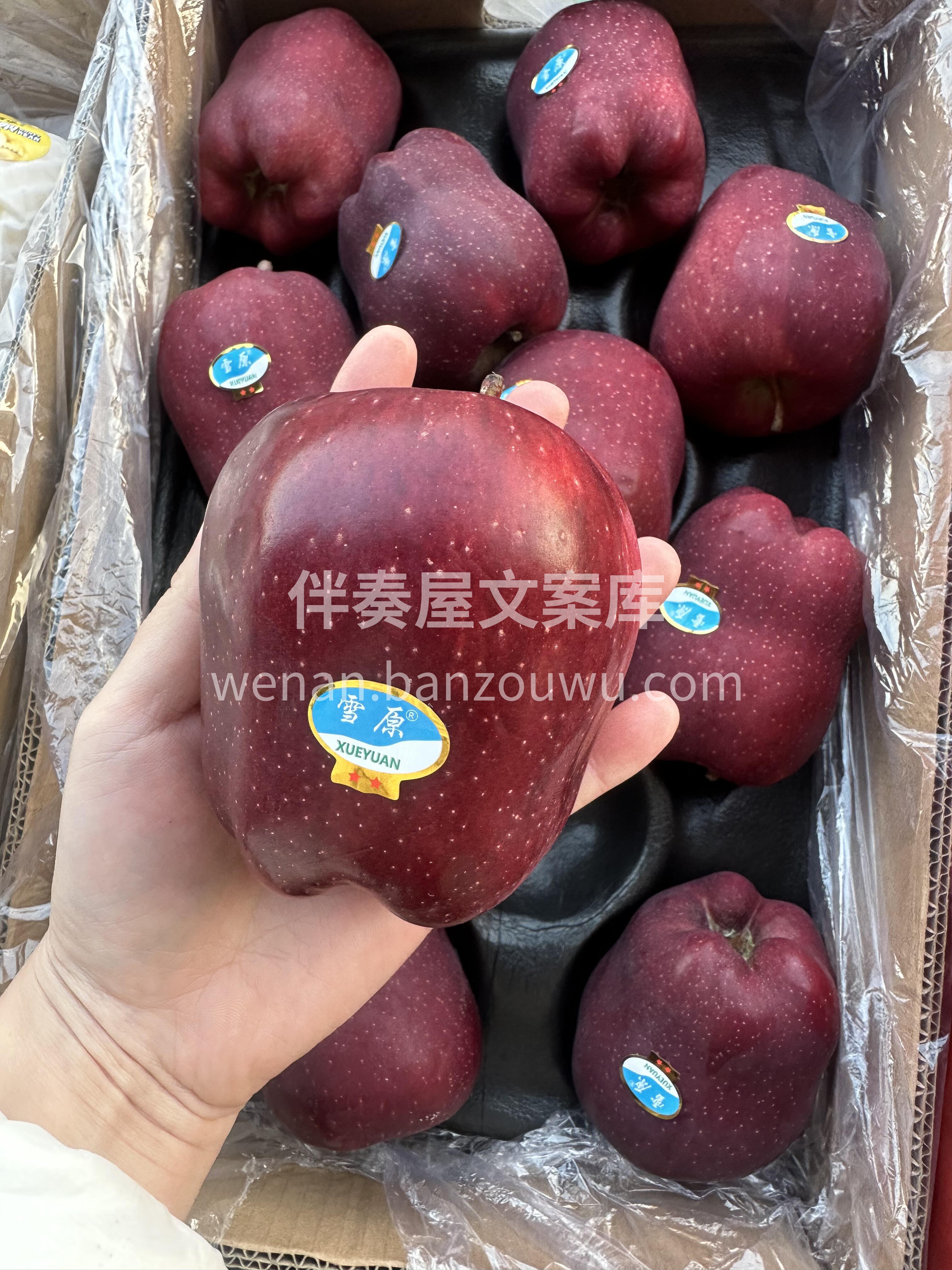 🍎 雪原花牛 到货啦雪原蛇果新鲜到货~  配图1
