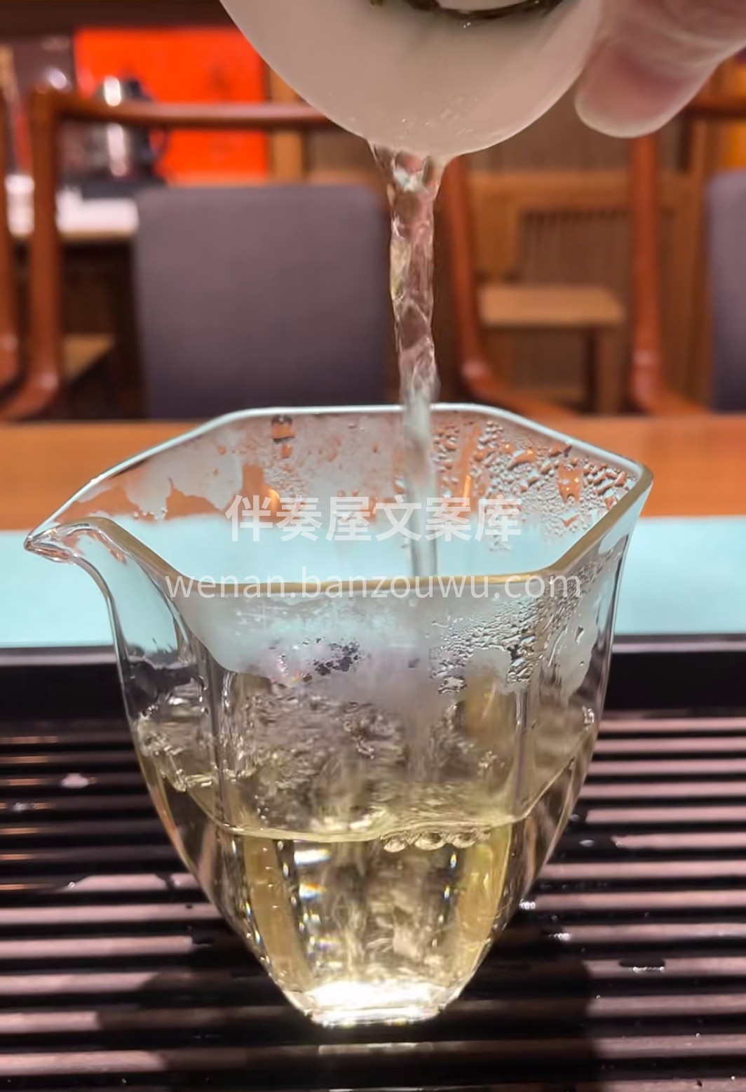 🌿 白水韵铁观音，鲜叶凝露而成。兰花香裹 配图3