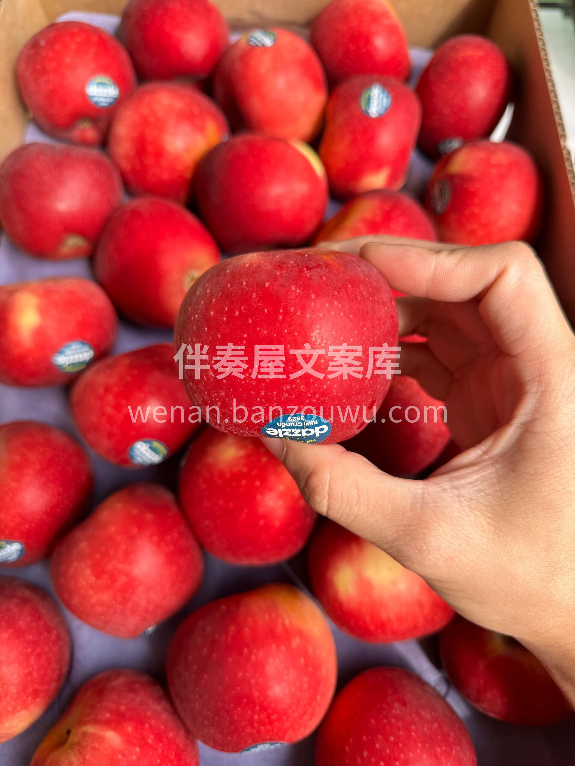 新西兰🇳🇿红玫瑰苹果🍎应季的新鲜||新西 配图2