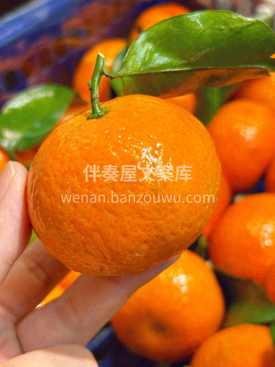 果如其名🙋——像“砂糖”一样甜皮超级薄👗 配图3
