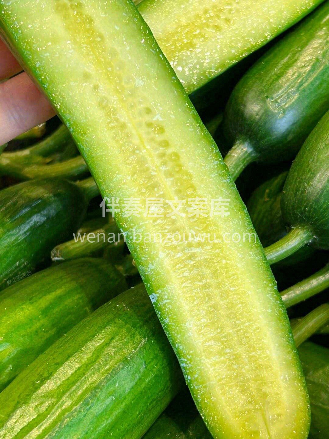 🌱初夏就是要吃水润爽口的食物呀❗ 水果黄 配图3