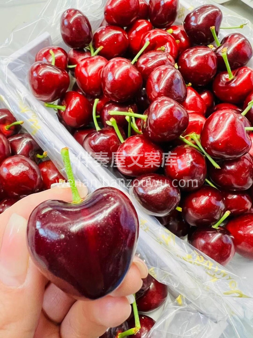 😘今天必须给你们推荐这款大连美早樱桃🍒它 配图1