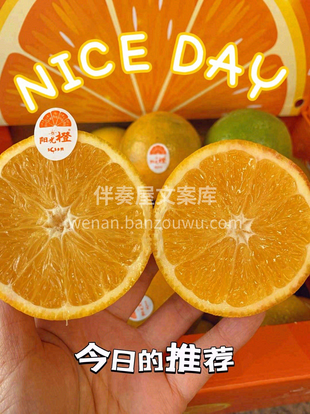 ✨它有个活力四射的名字——阳光橙🍊 入秋