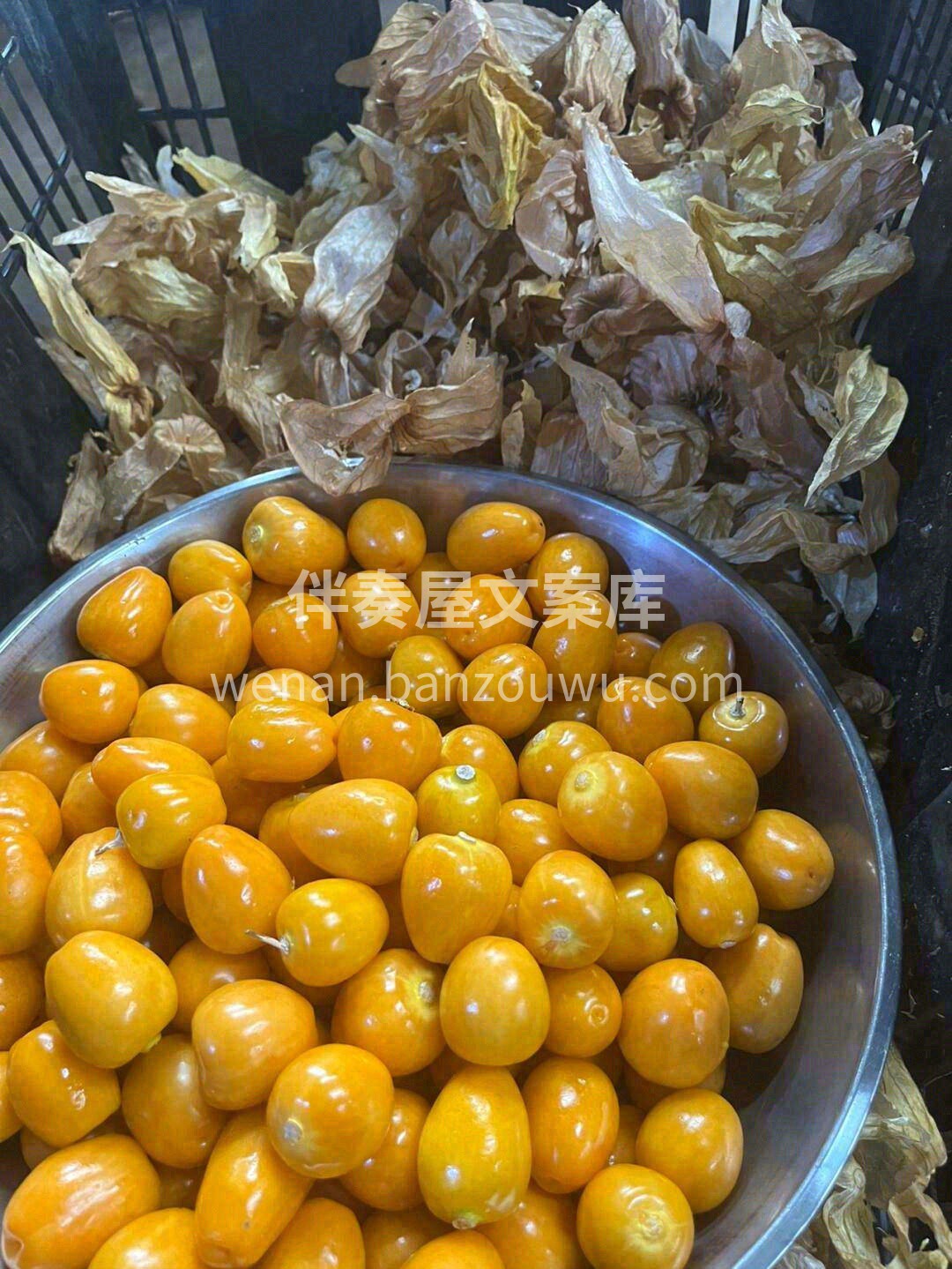 好吃的姑娘果太棒了💛~ 刚到货，成熟度太