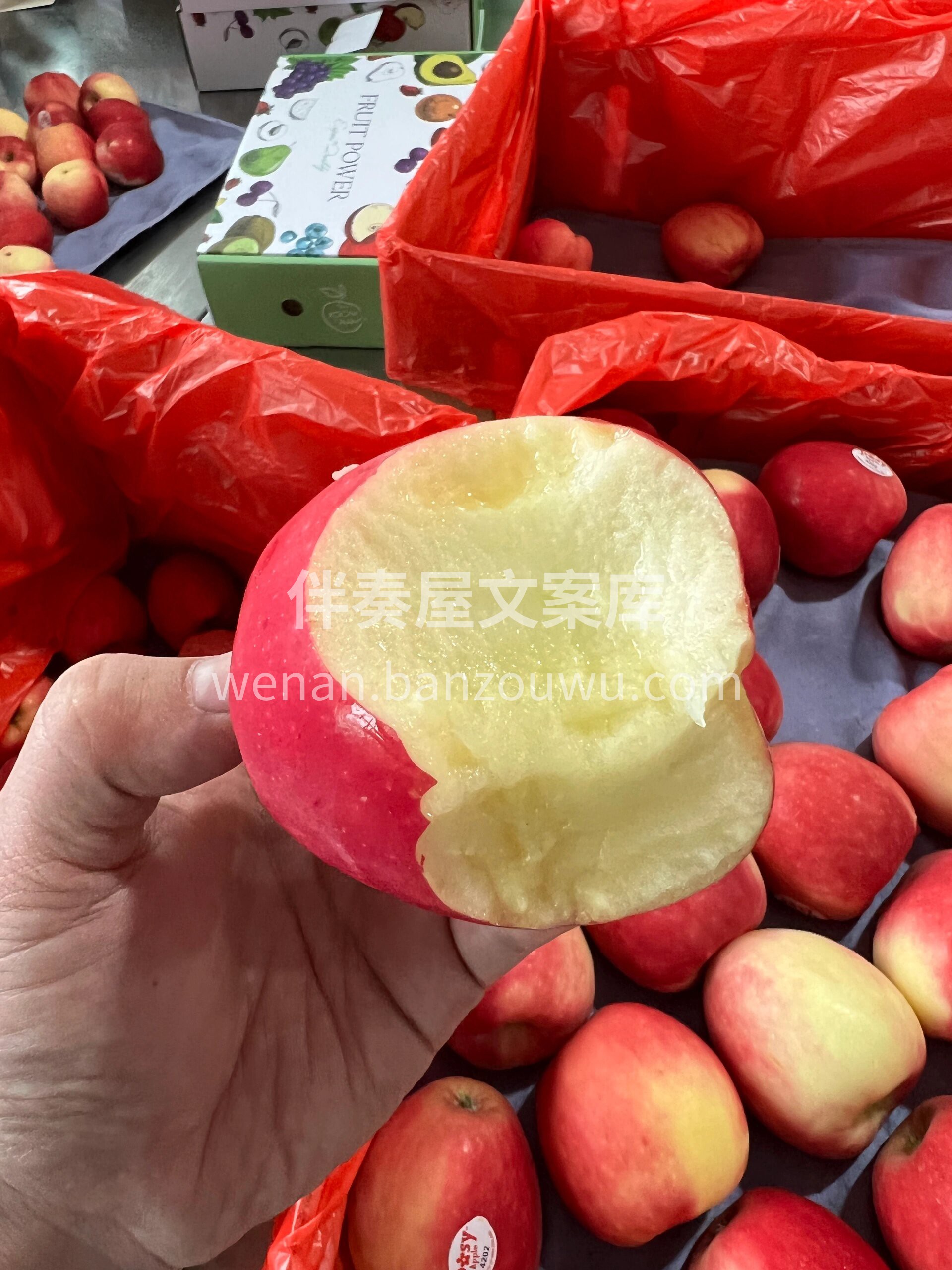 新西兰 • 有机小花苹果🍎新货到 淡淡的 配图1