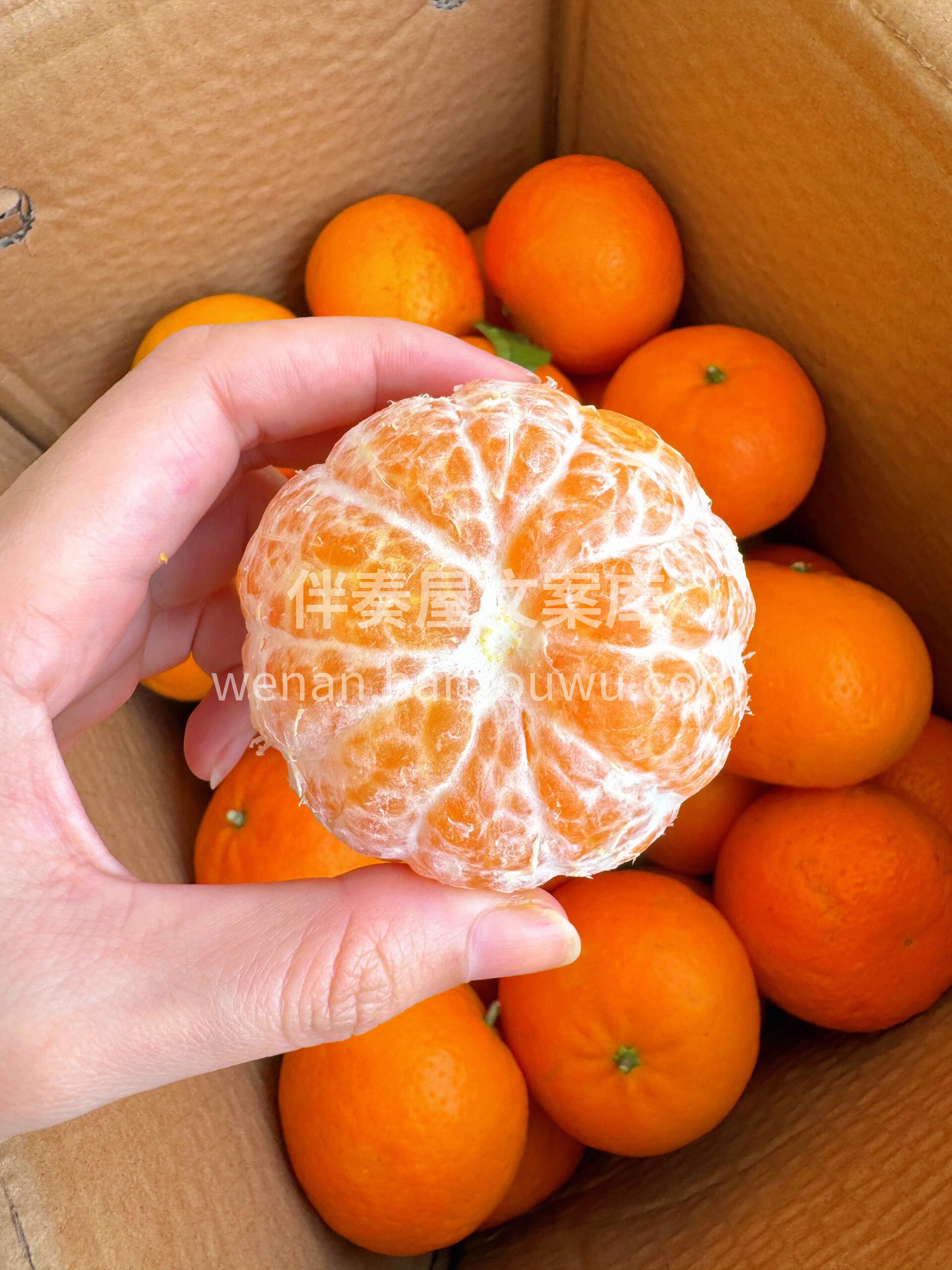 🍊沃柑甜过初恋！ 皮薄汁多，一口咬下去汁 配图1